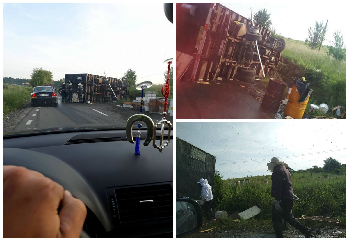 Un Tir Care Transporta Stupi Cu Albine S A Răsturnat Pe șosea Bihon