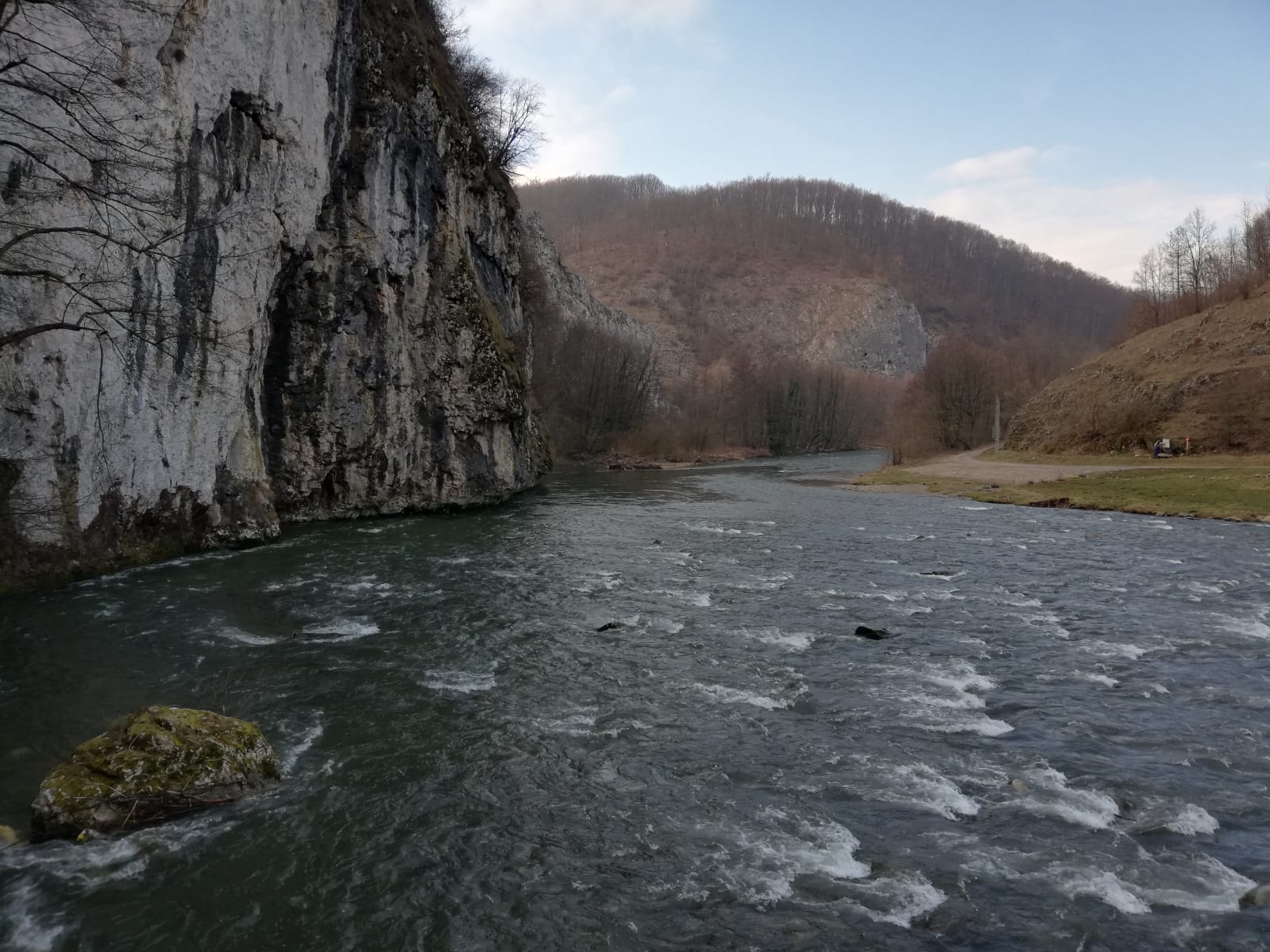 exclusiv din Romania FOTO Mihai Pătraşcu (15)