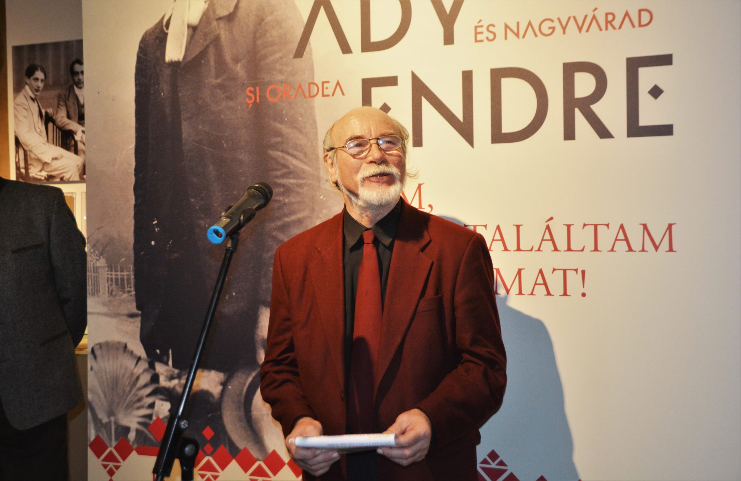 muzeul ady endre oradea (2)