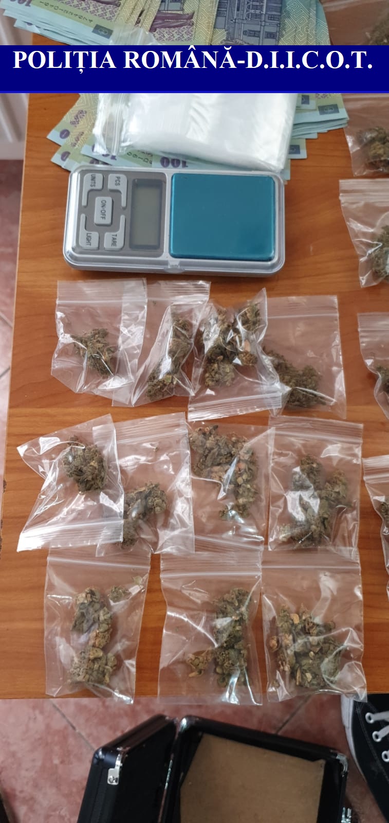 cannabis droguri oradea (2)