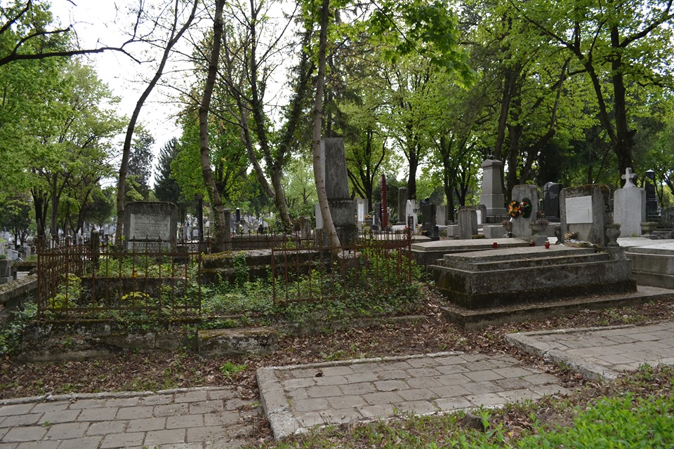 cimitir7