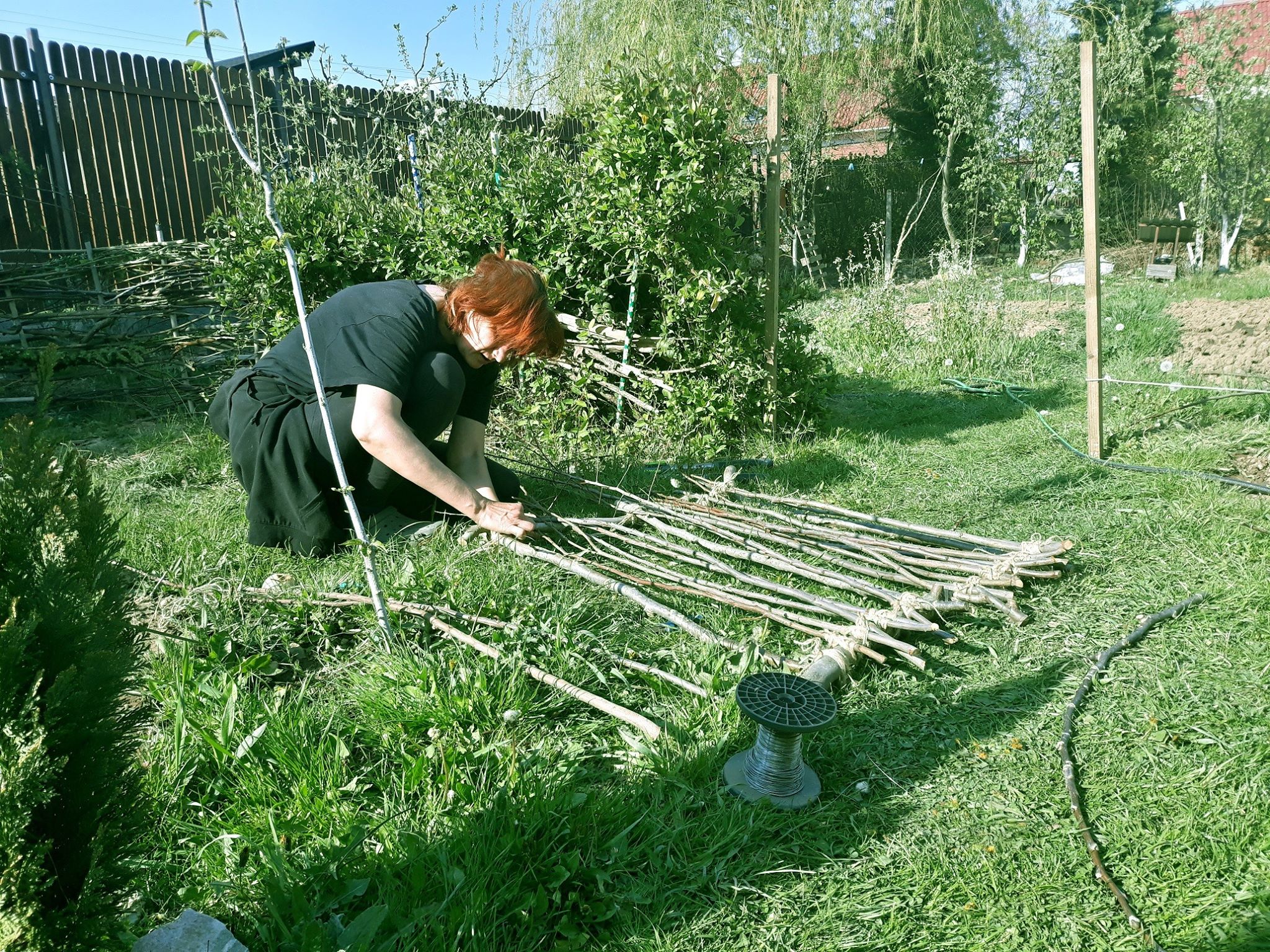 Artiştii plastici Mihaela Tătulescu şi Radu Tîrnovean (5)