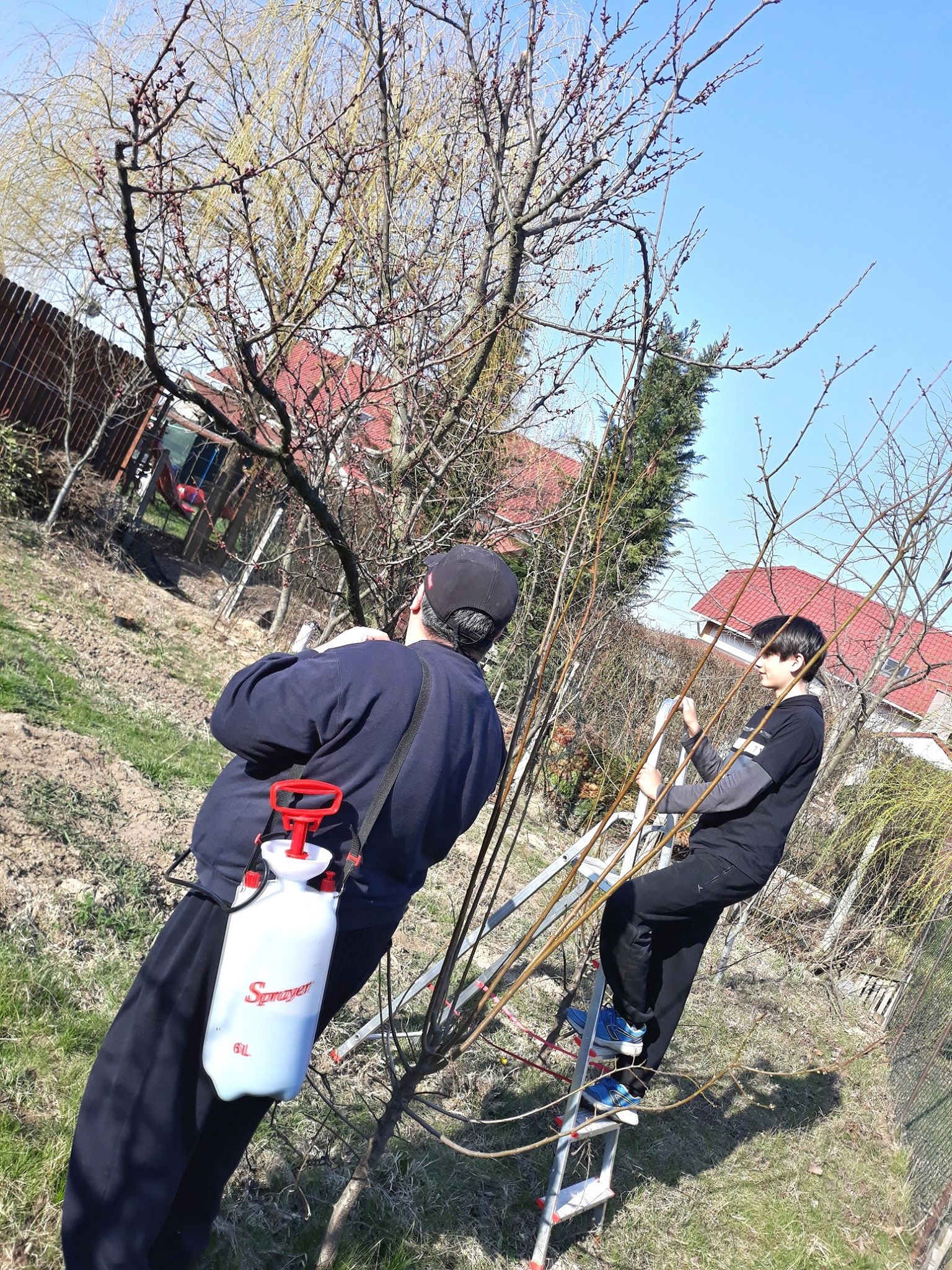 Artiştii plastici Mihaela Tătulescu şi Radu Tîrnovean (6)