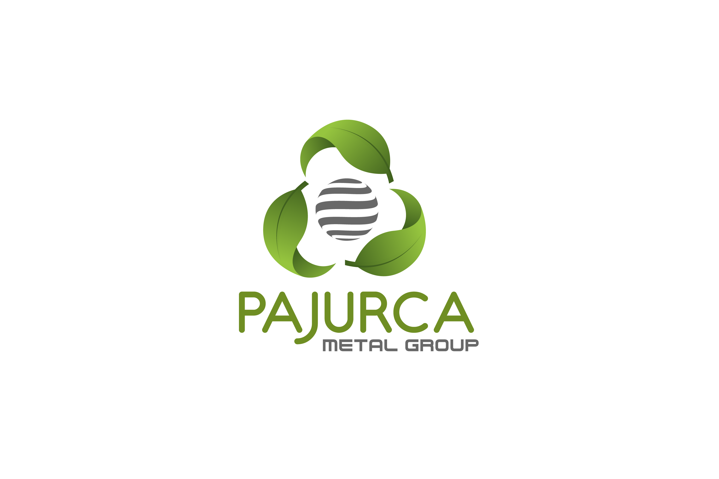 LOGO Pajurca