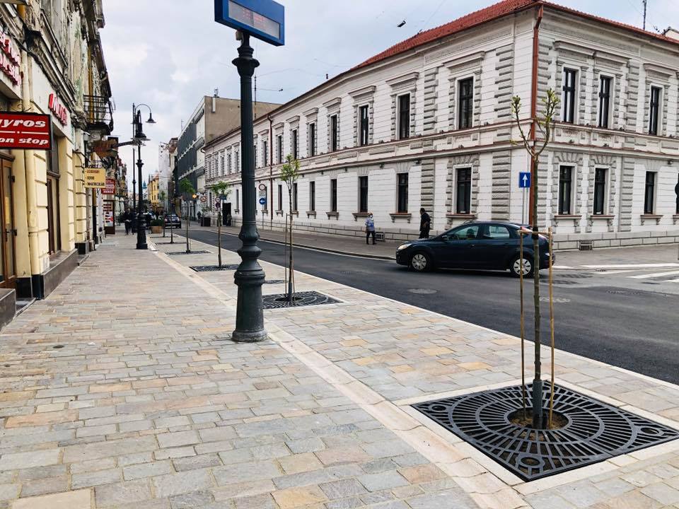 trotuar republicii oradea (1)