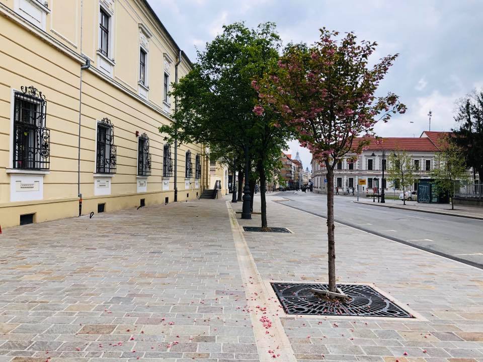 trotuar republicii oradea (5)