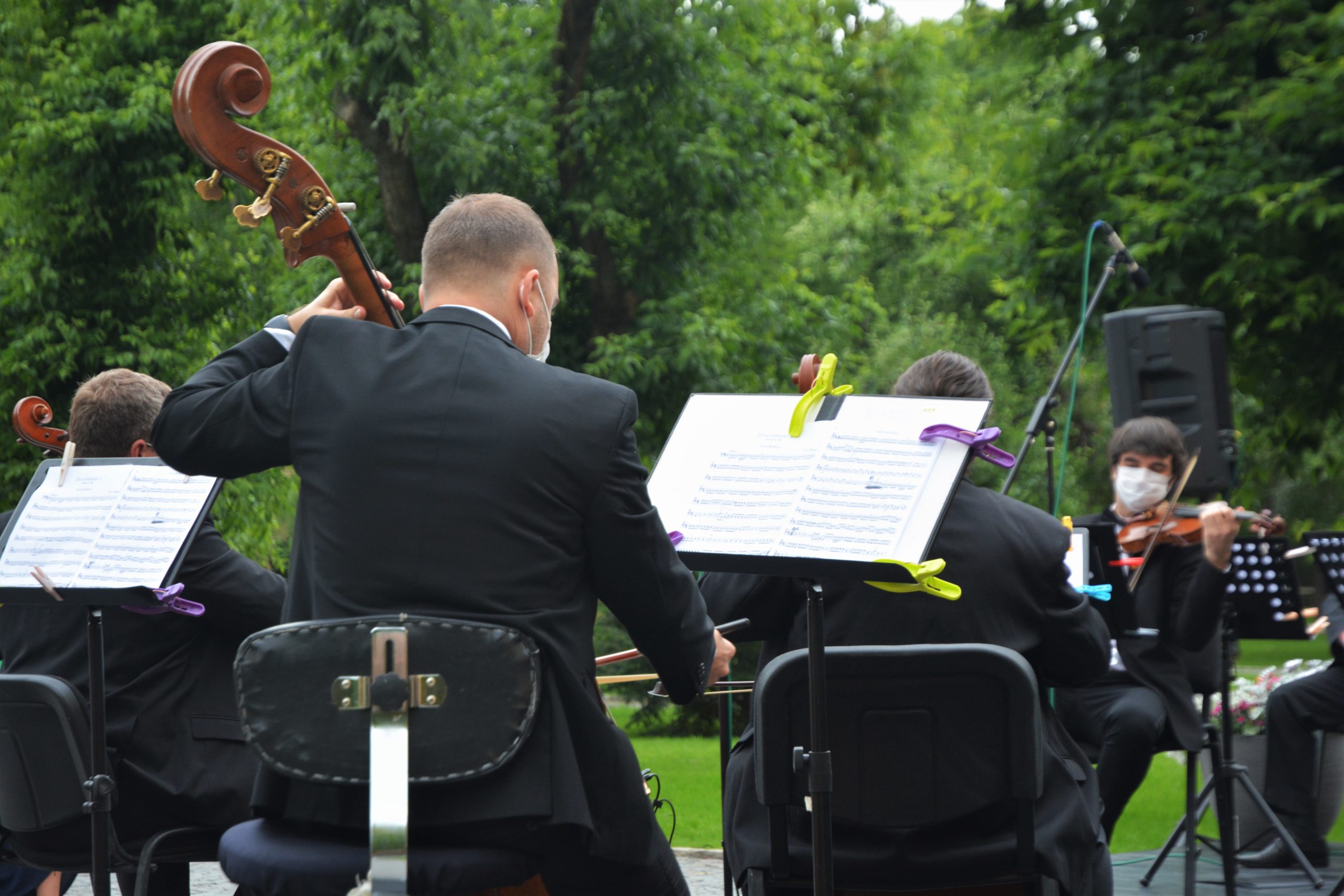 concert filarmonica oradea (7)