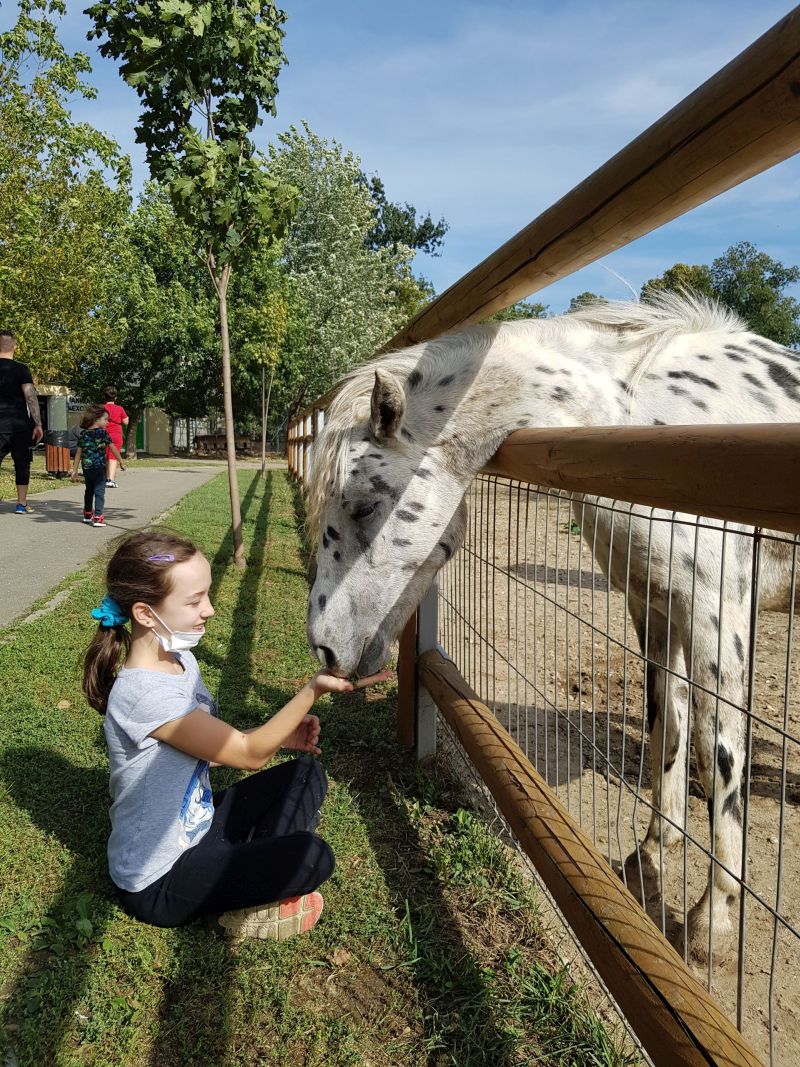 FOTO: Ziua părinților adoptivi ZOO Oradea 06.10.2020