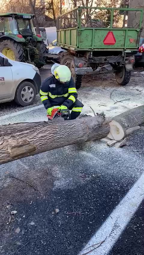 copac degajat de pe auto- str. Roșiorilor Oradea_Moment