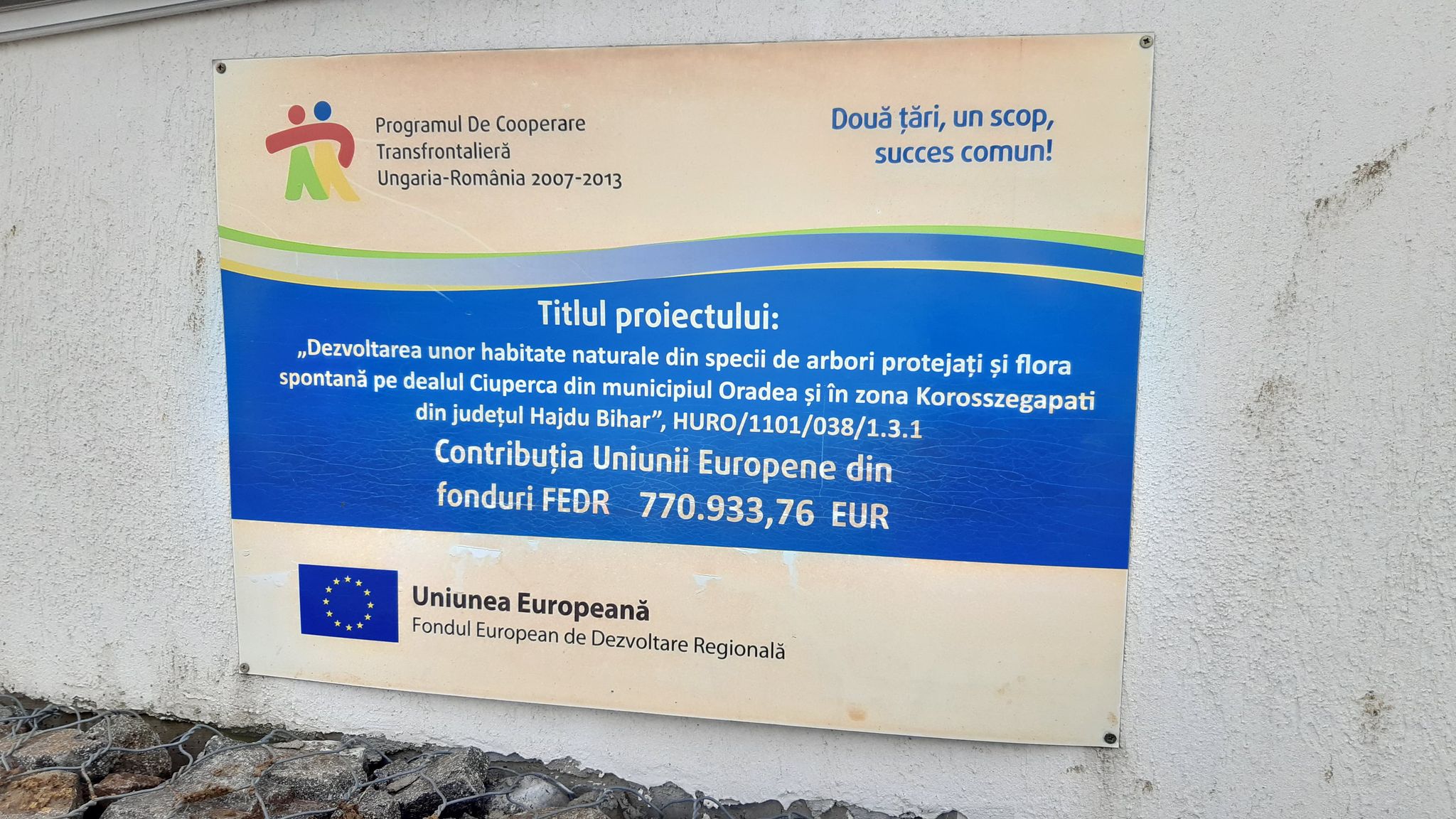 deal ciuperca oradea (5)