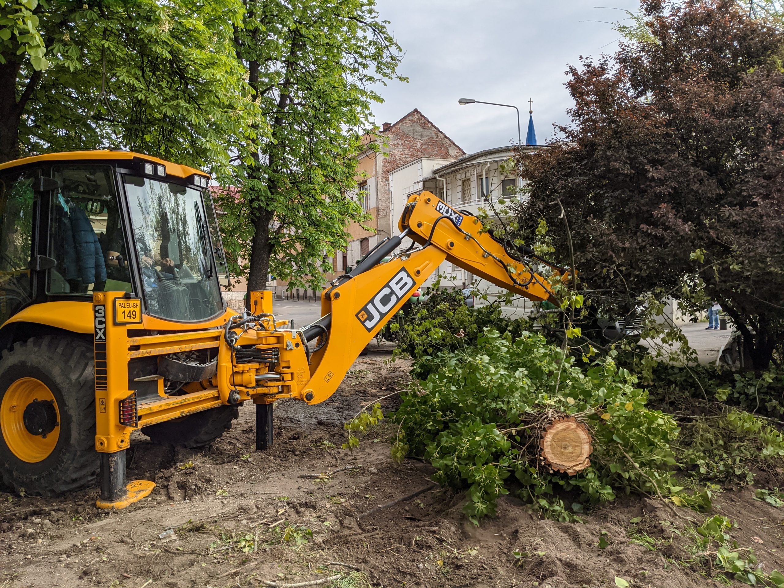 FOTO: Taiere copaci pe malul Crișului Repede 05.05.2021