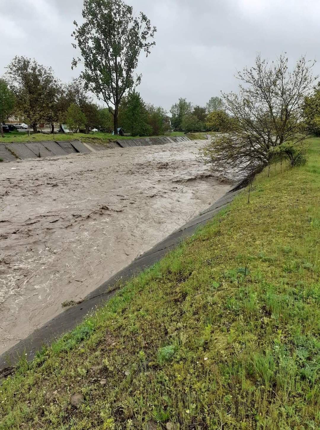 inundatie bihor (1)