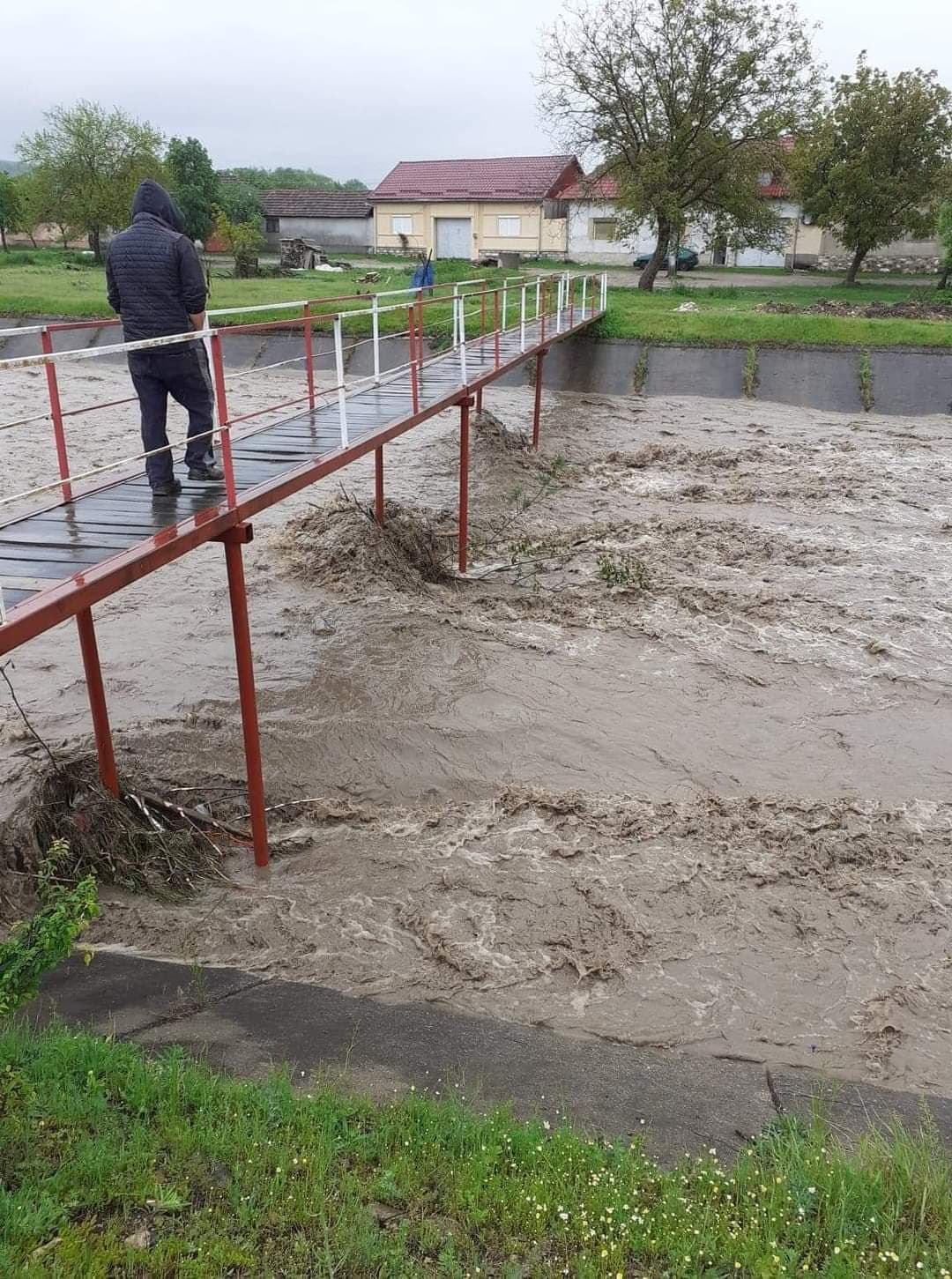 inundatie bihor (3)