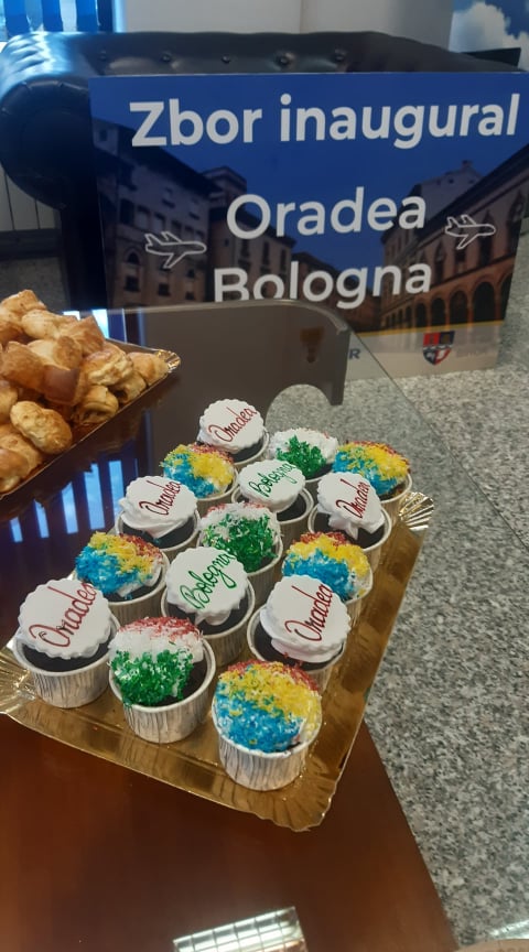 ryanair oradea bologna (20)