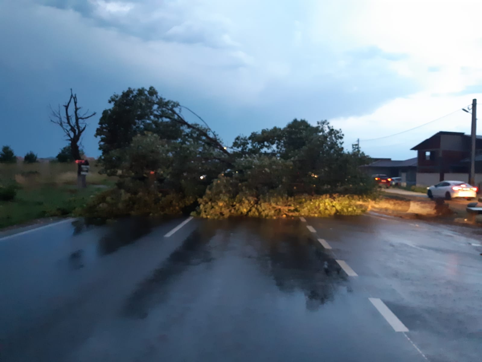 FOTO: Pagube furtună Bihor 02.08.2021