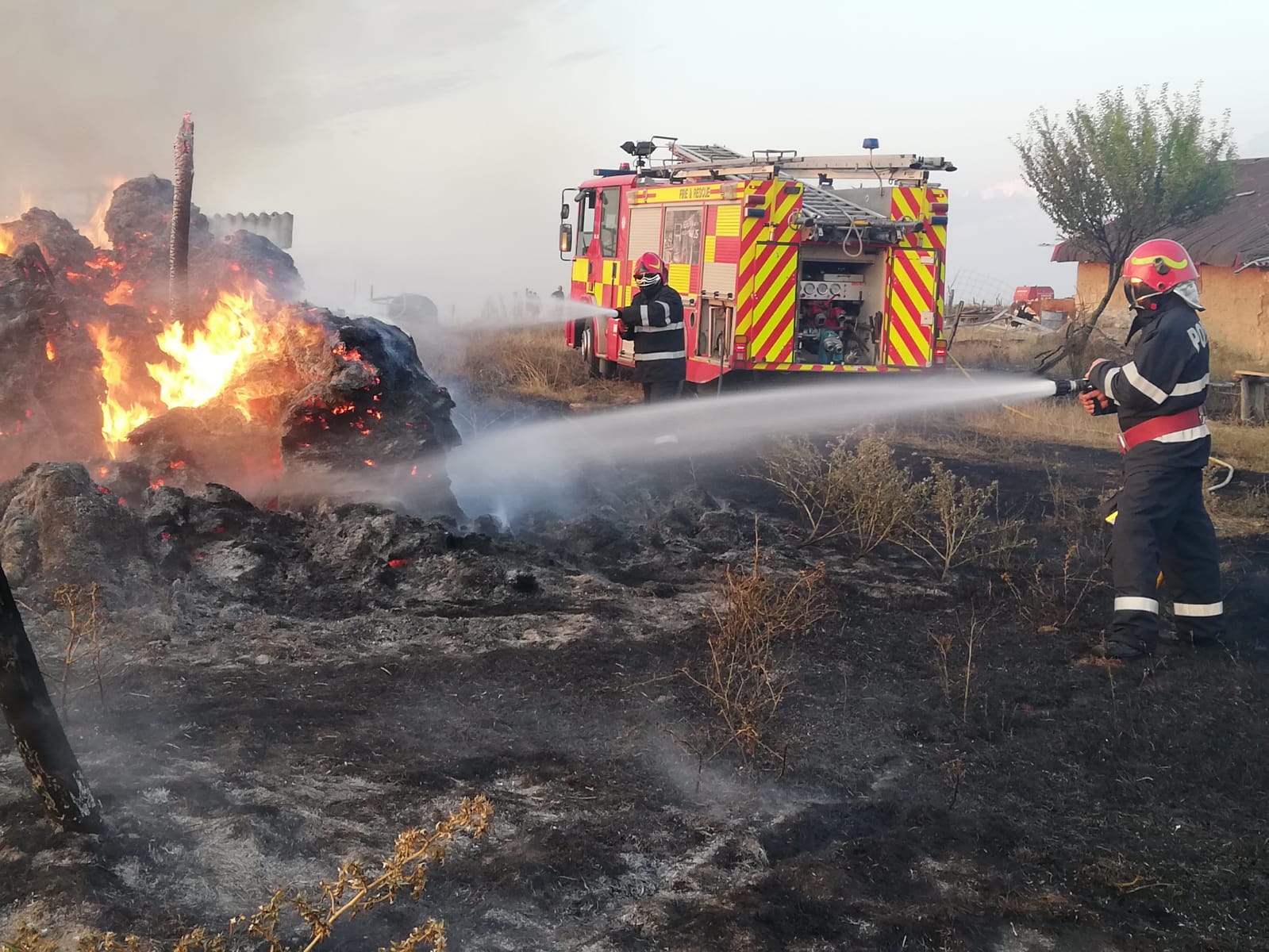 FOTO: Incendii vegetație Bihor 17.08.2021