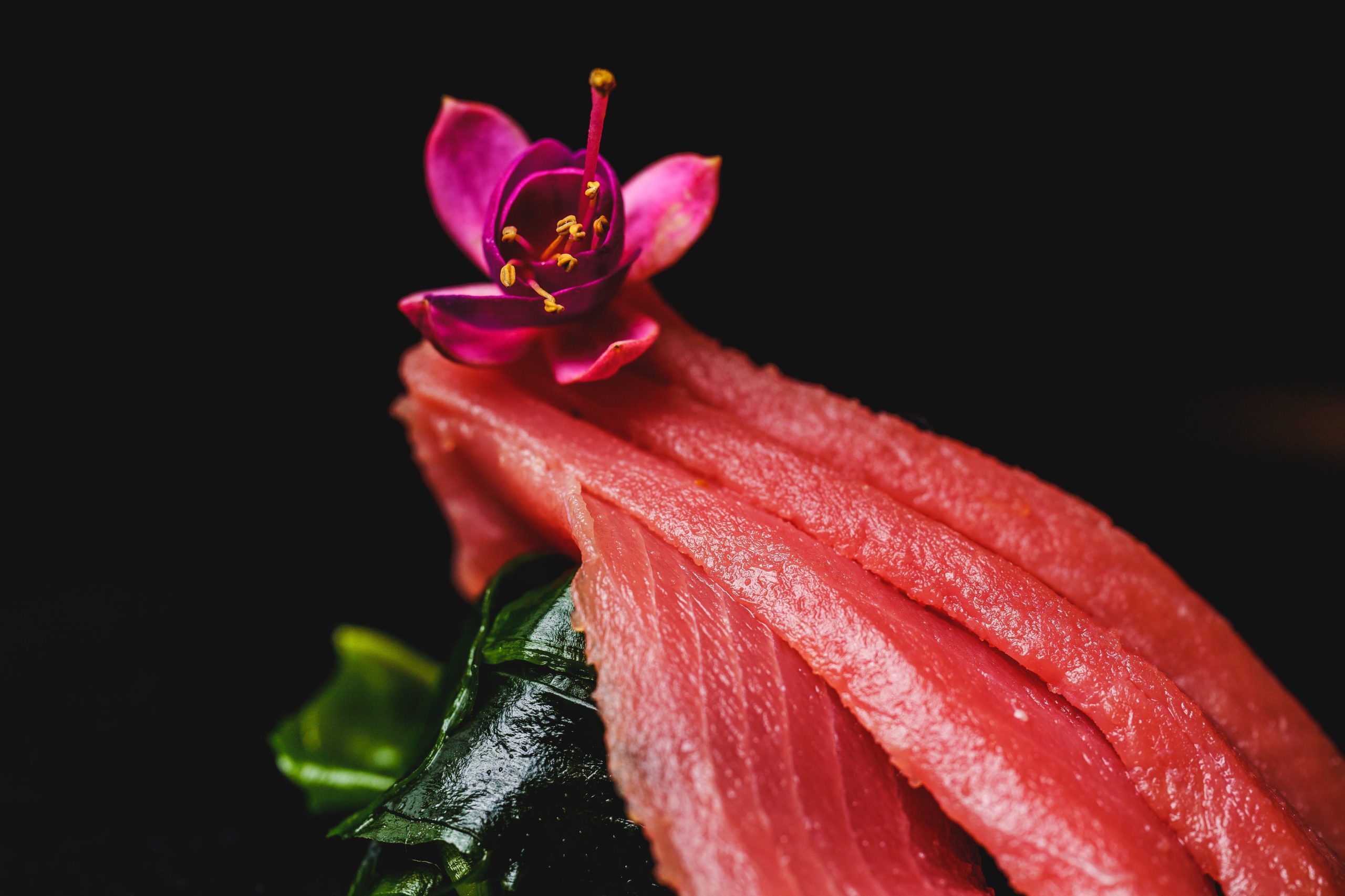 sashimi ton-8