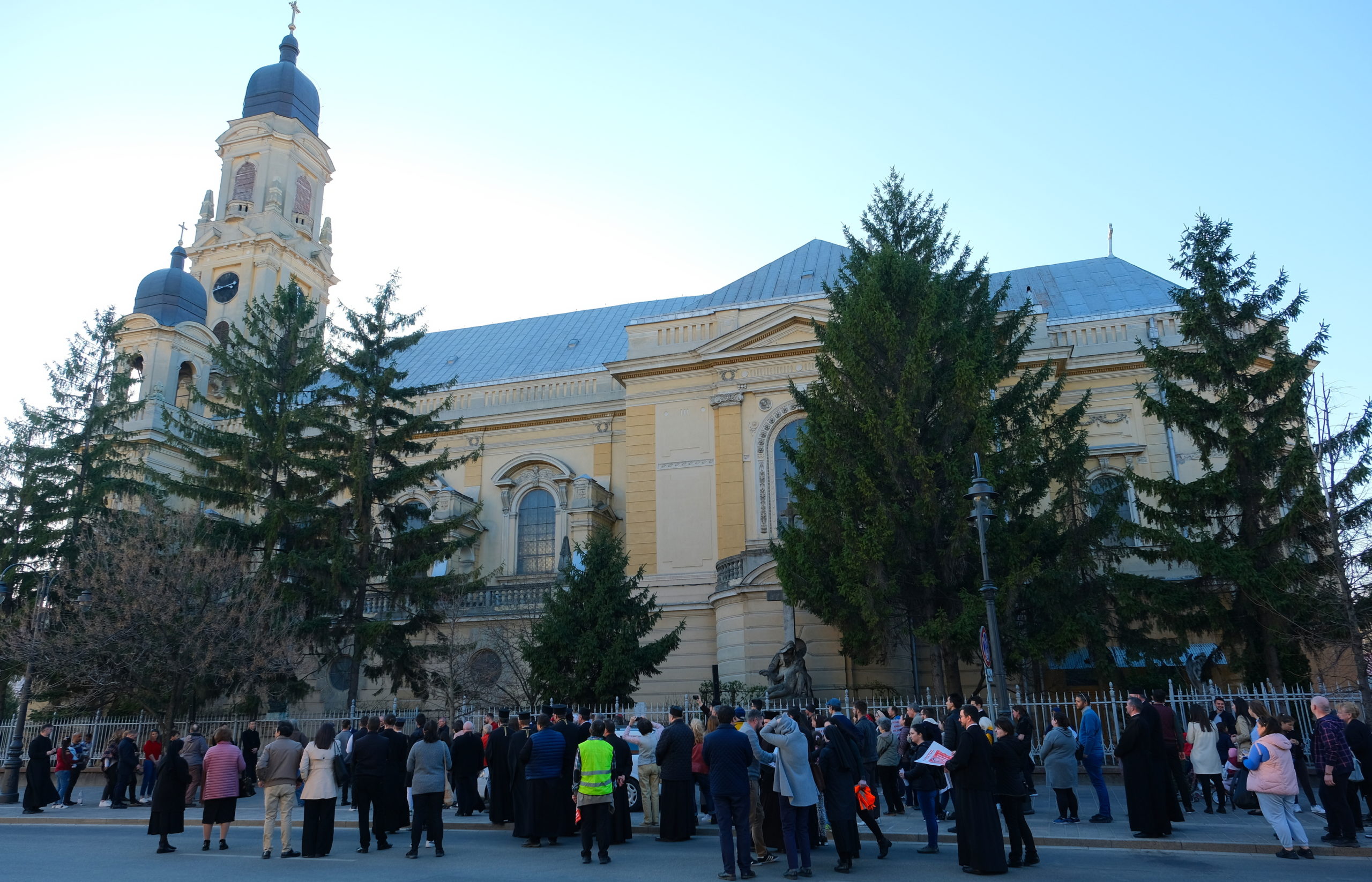 mars pentru viata oradea (2)