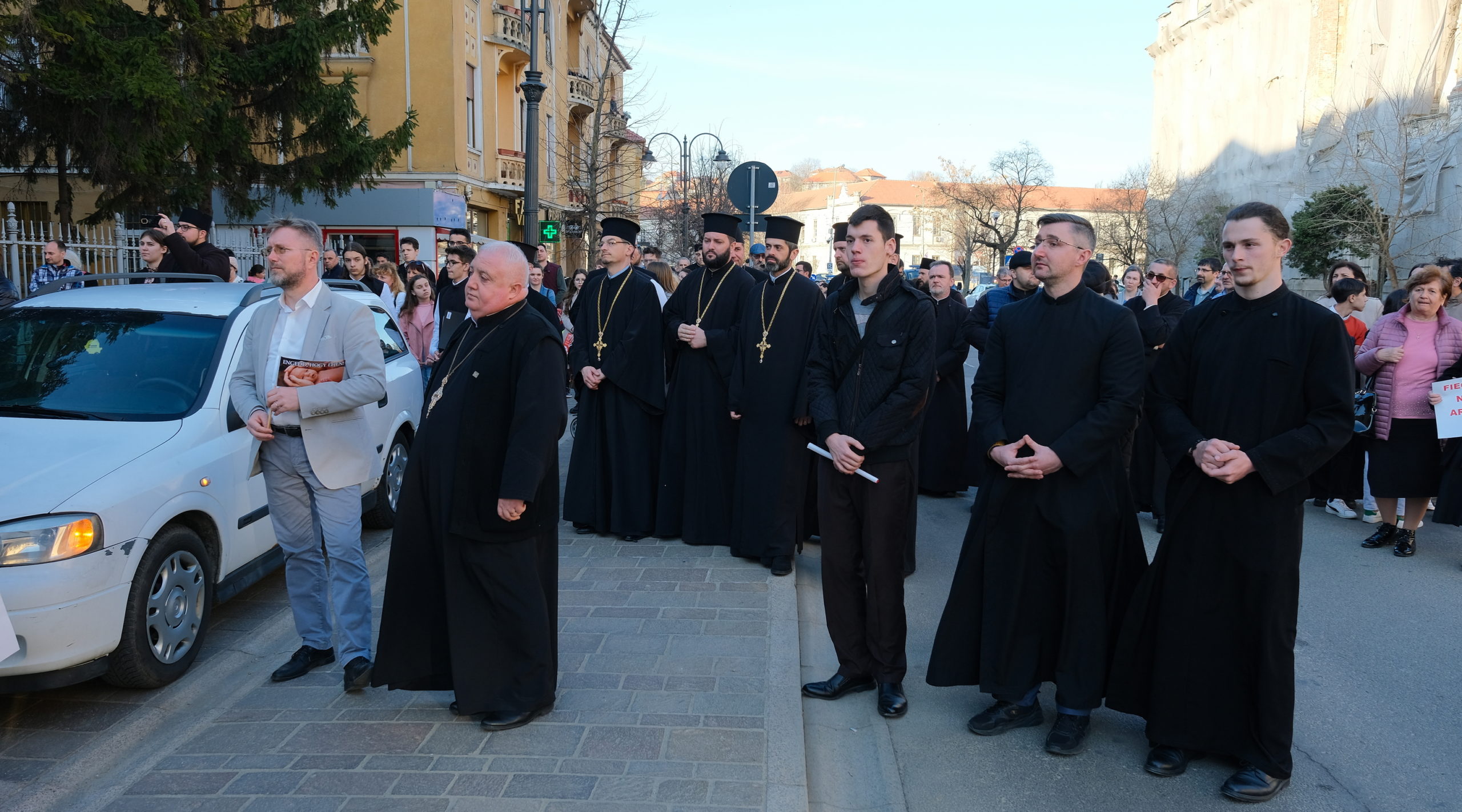 mars pentru viata oradea (13)