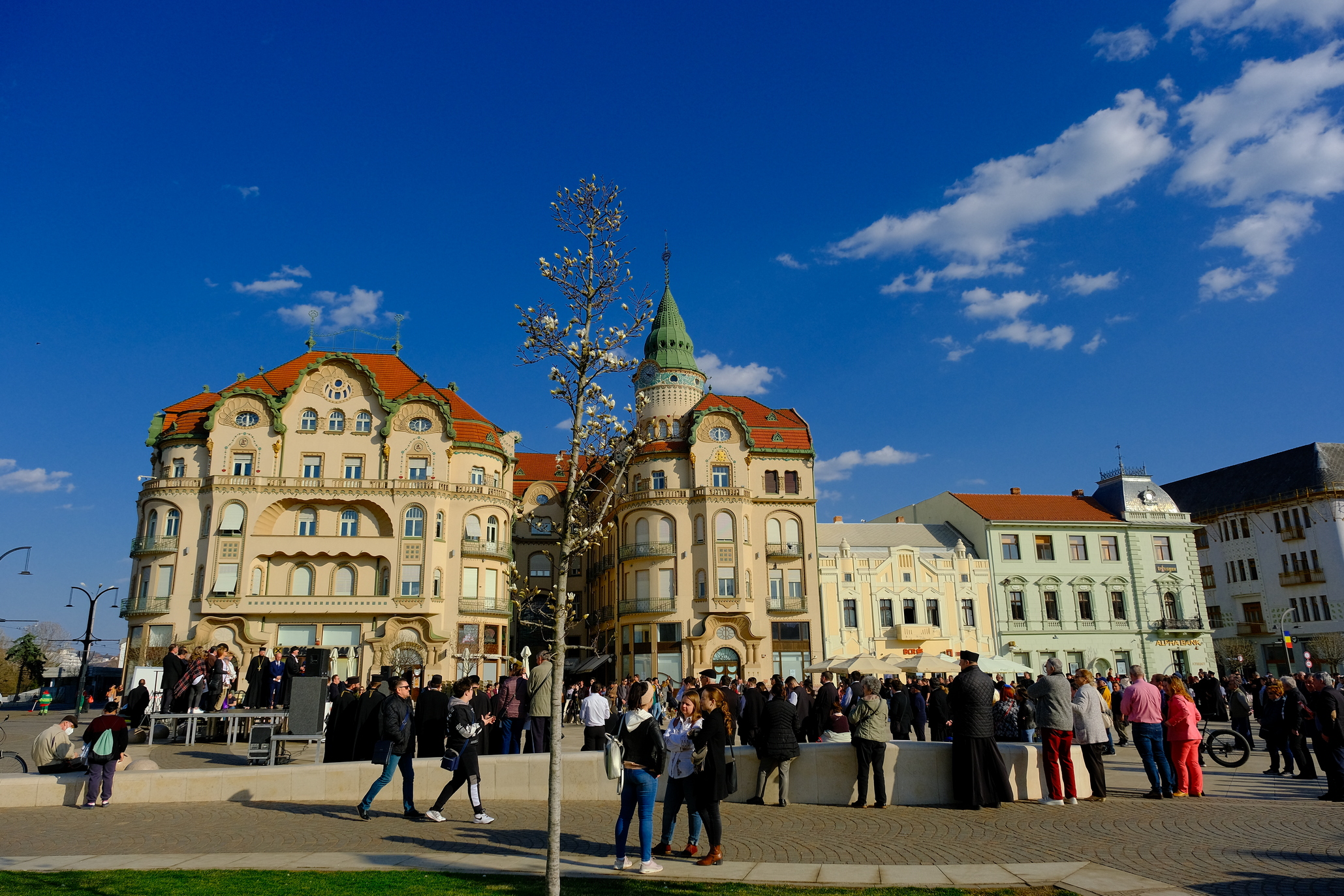 mars pentru viata oradea (54)