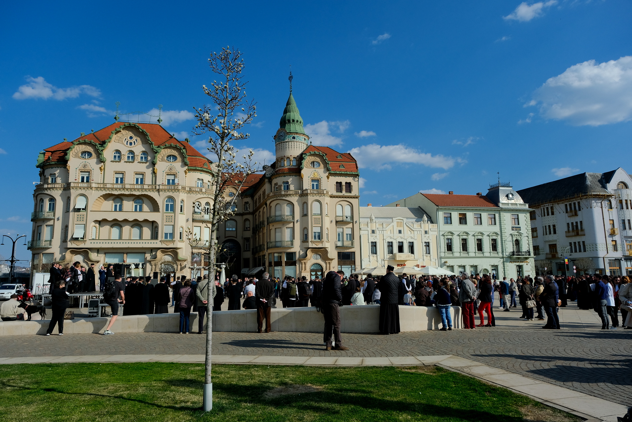 mars pentru viata oradea (71)