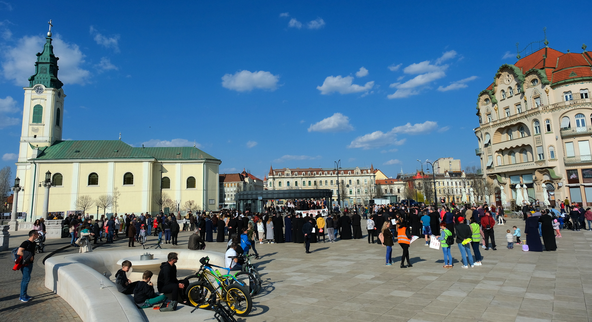 mars pentru viata oradea (75)