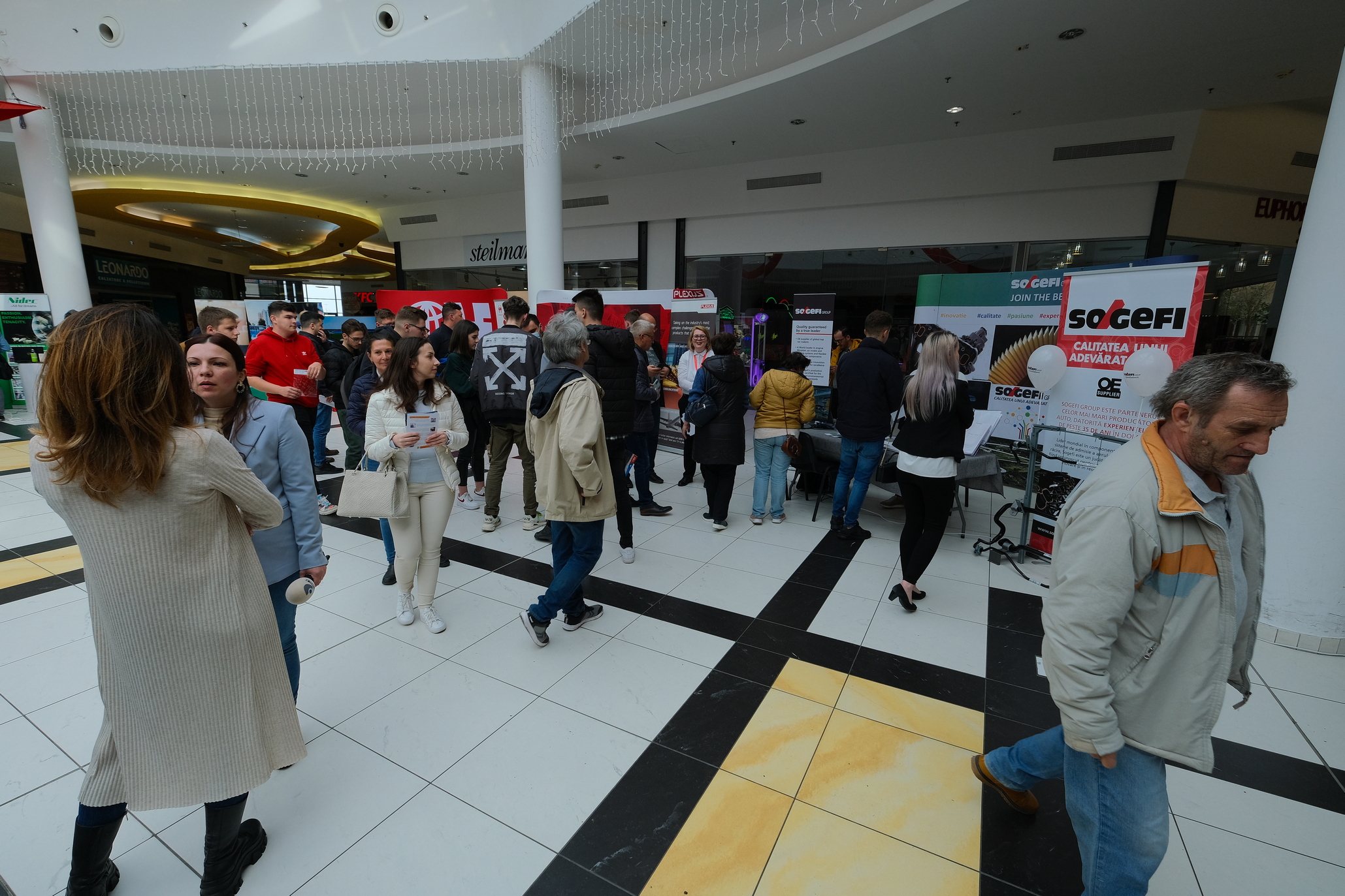 oradea job expo 2022 (31)