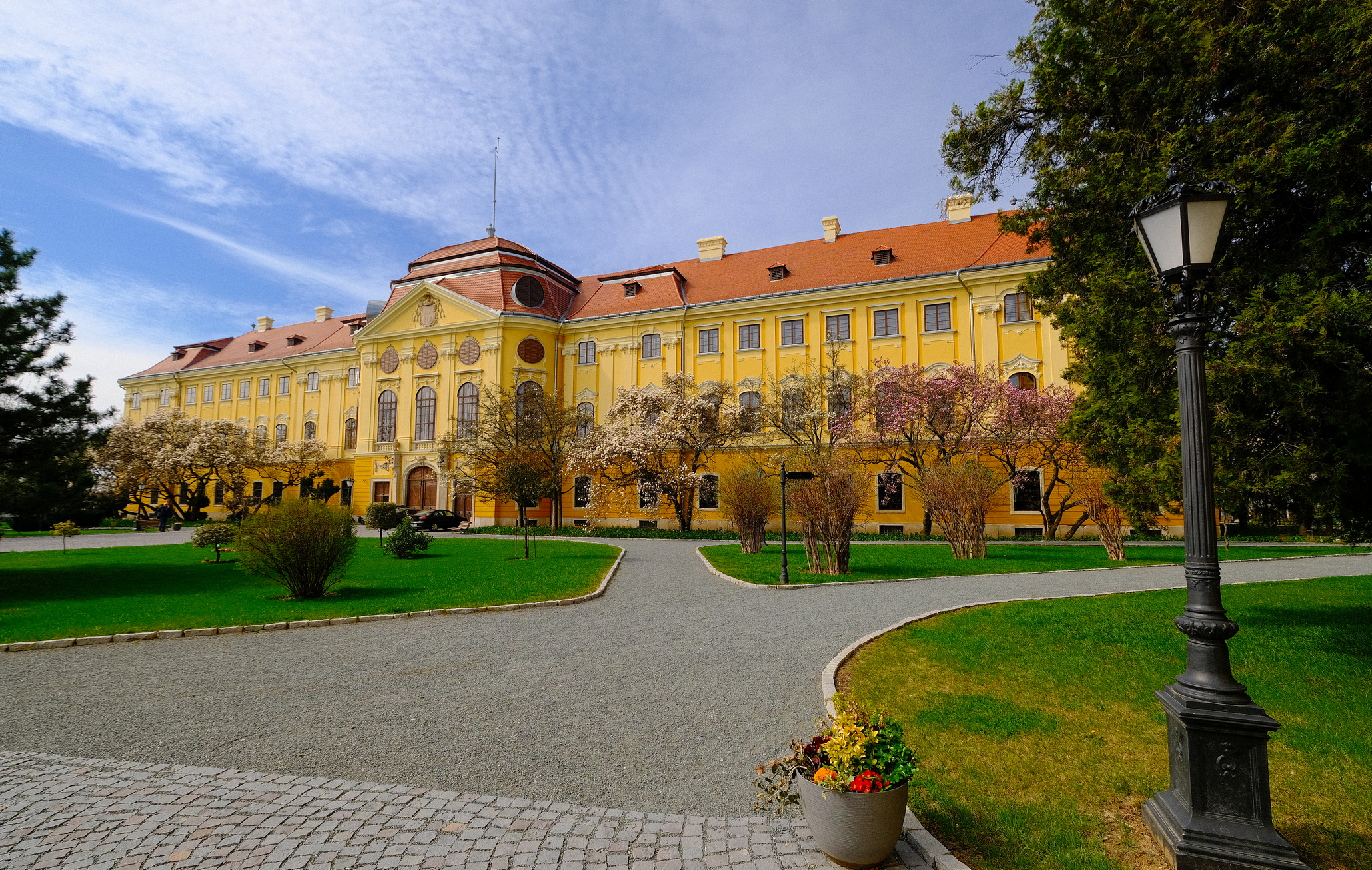 magnolii oradea (15)