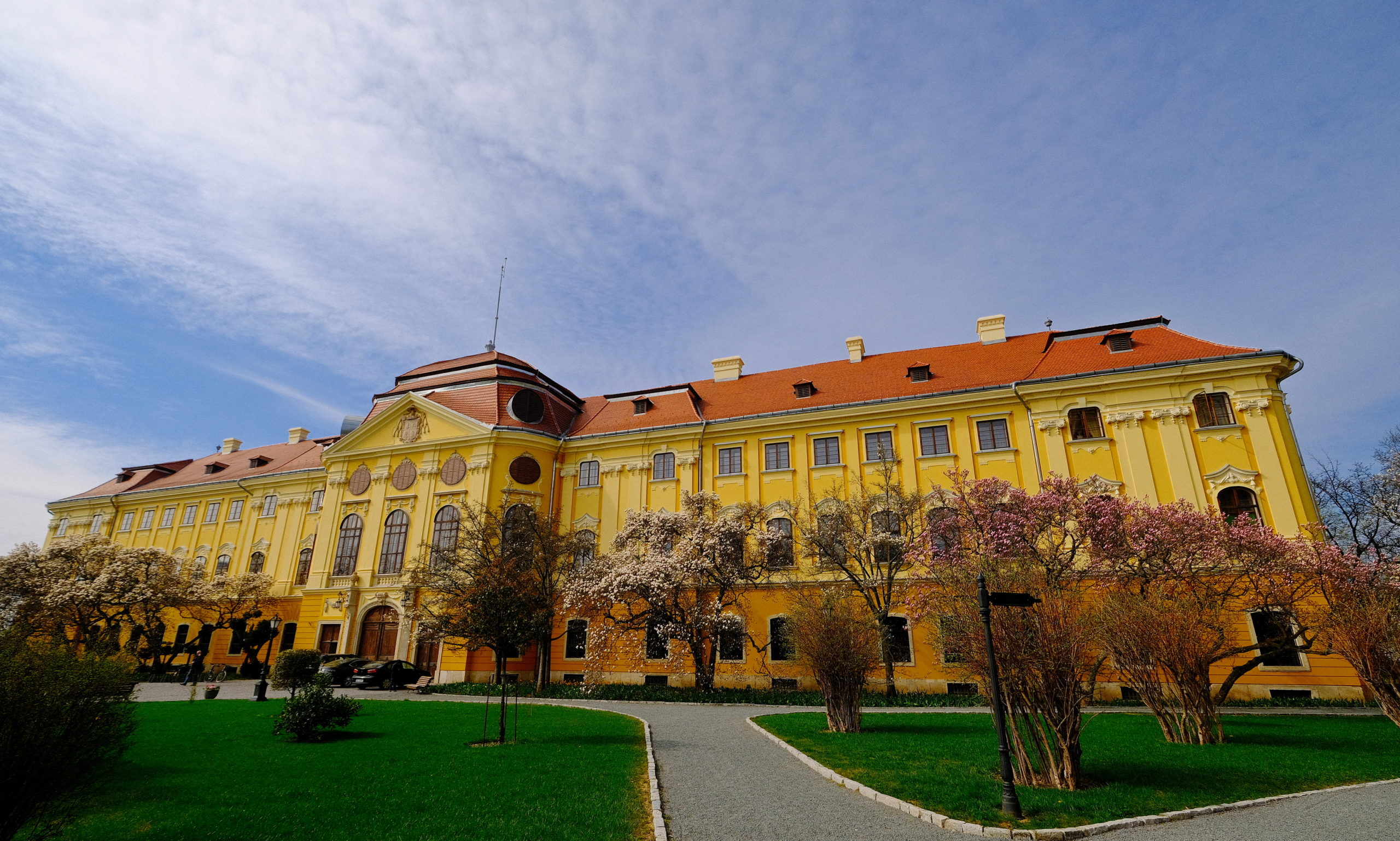 magnolii oradea (16)