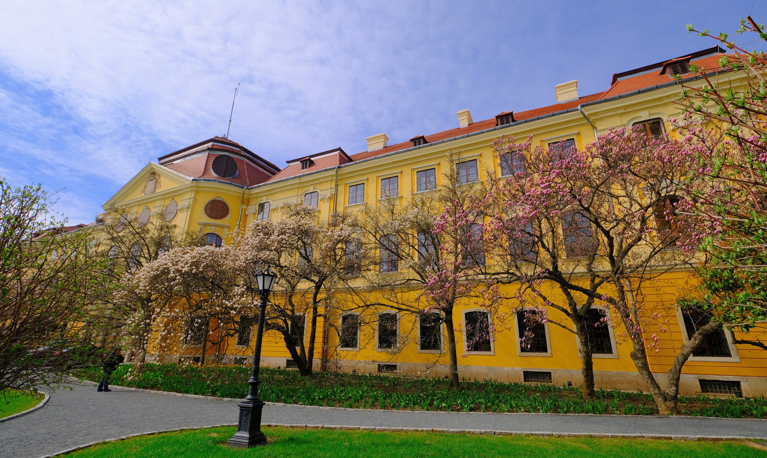 magnolii oradea (18)