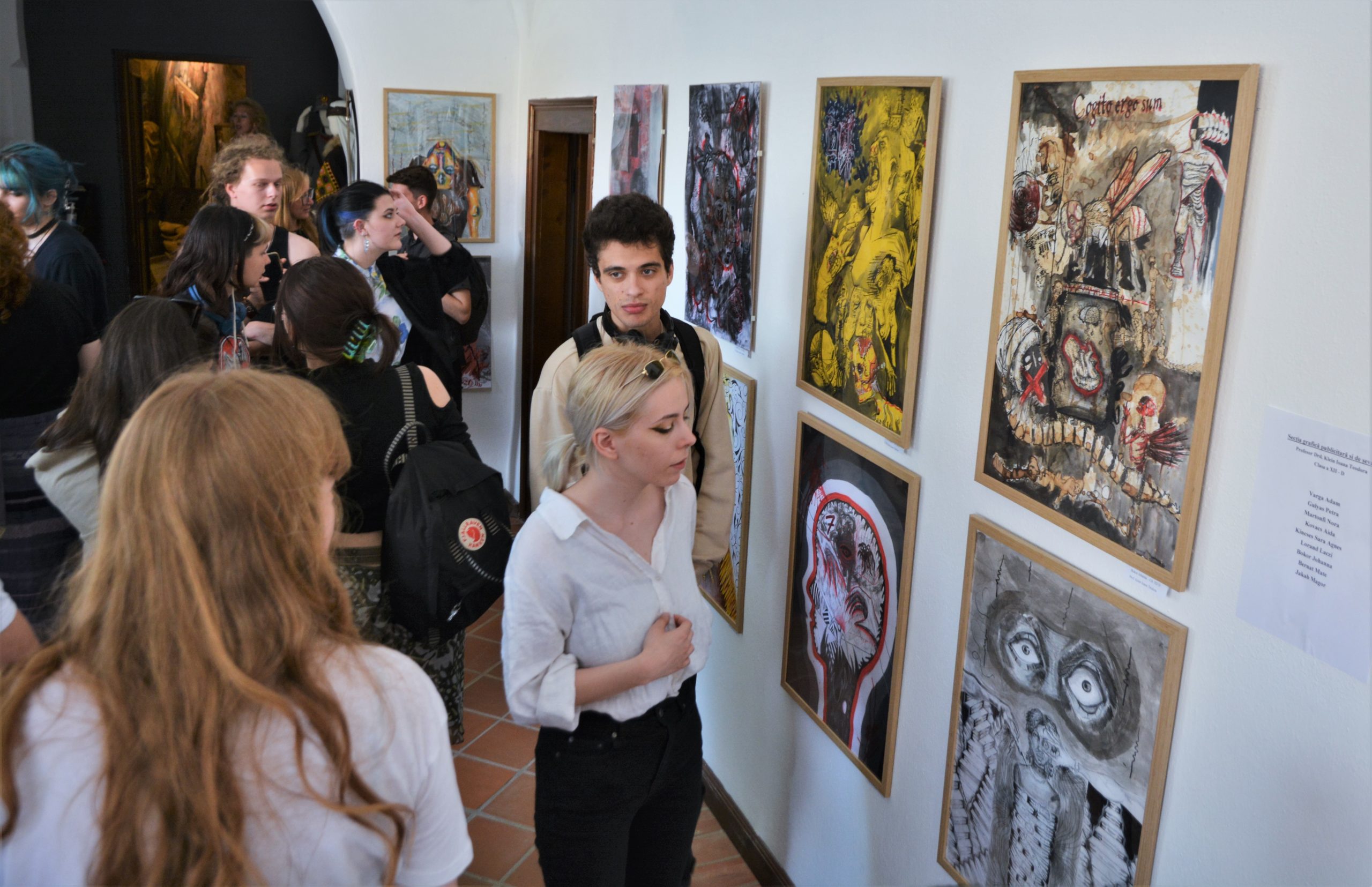 expozitie absolventi liceul de arte oradea (116)