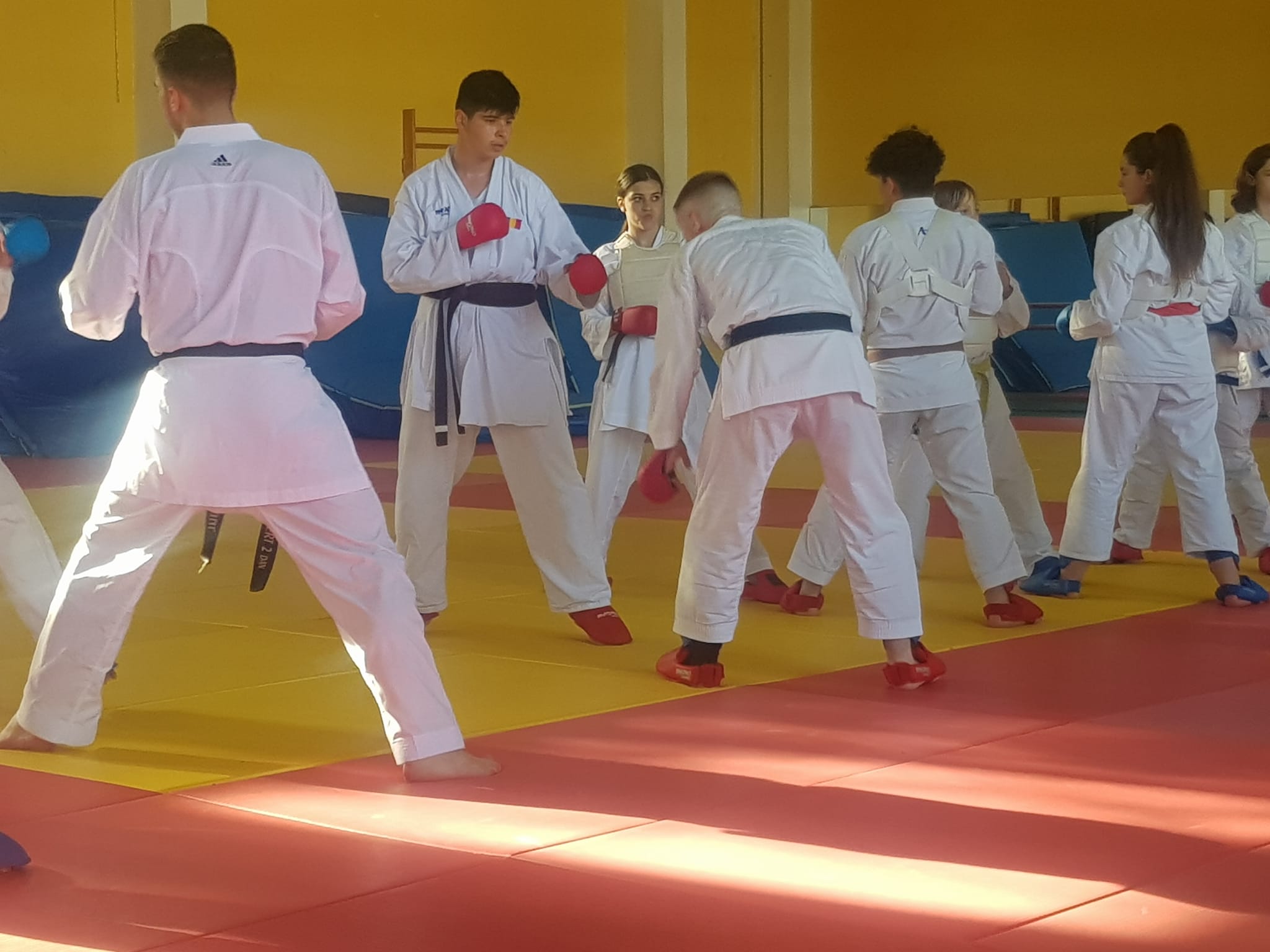 karate1