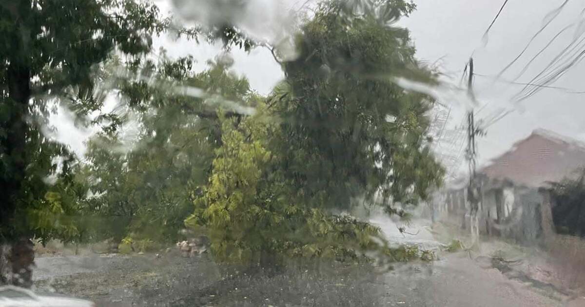 Roof blown off by the wind in Piata Unirii.  Several trees downed by gusts of wind