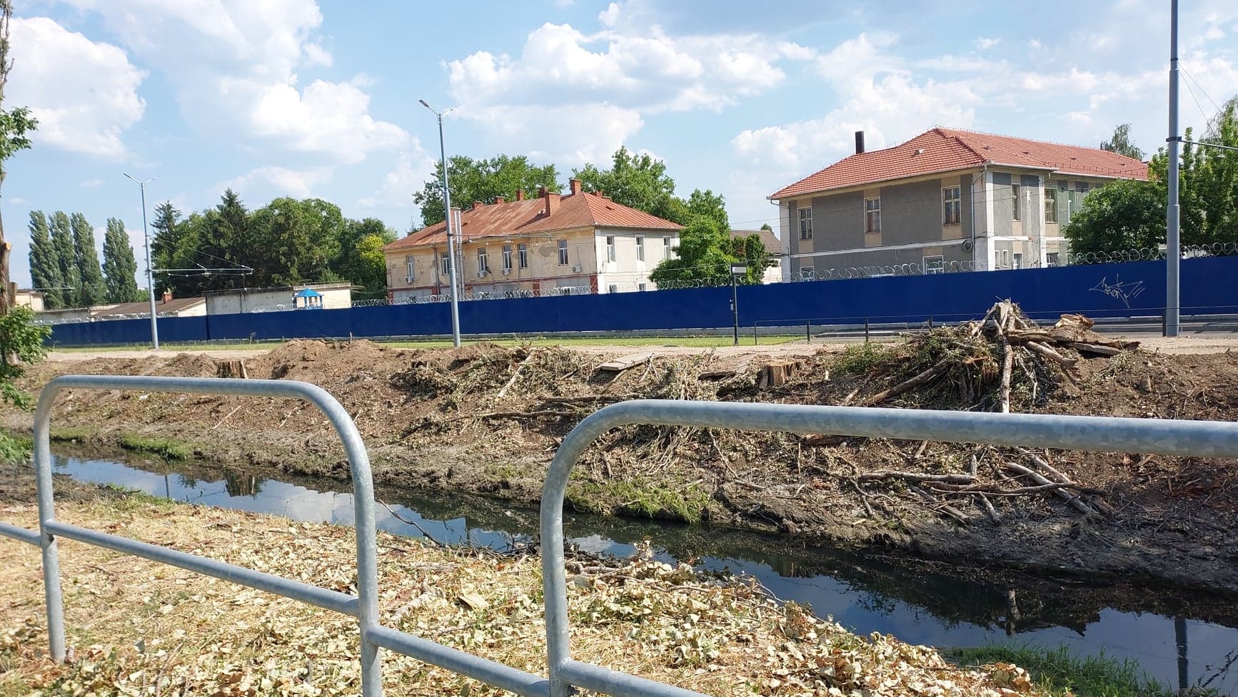 FOTO: Tăieri copaci pe malul Peței 07.07.2022