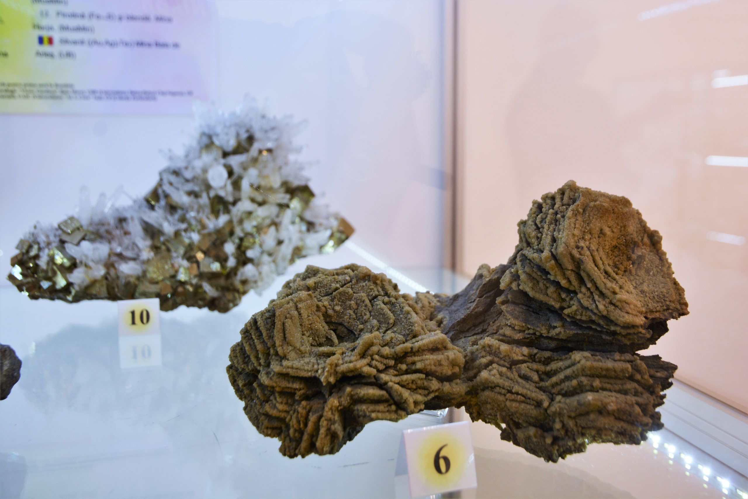 expozitie minerale oradea (80)