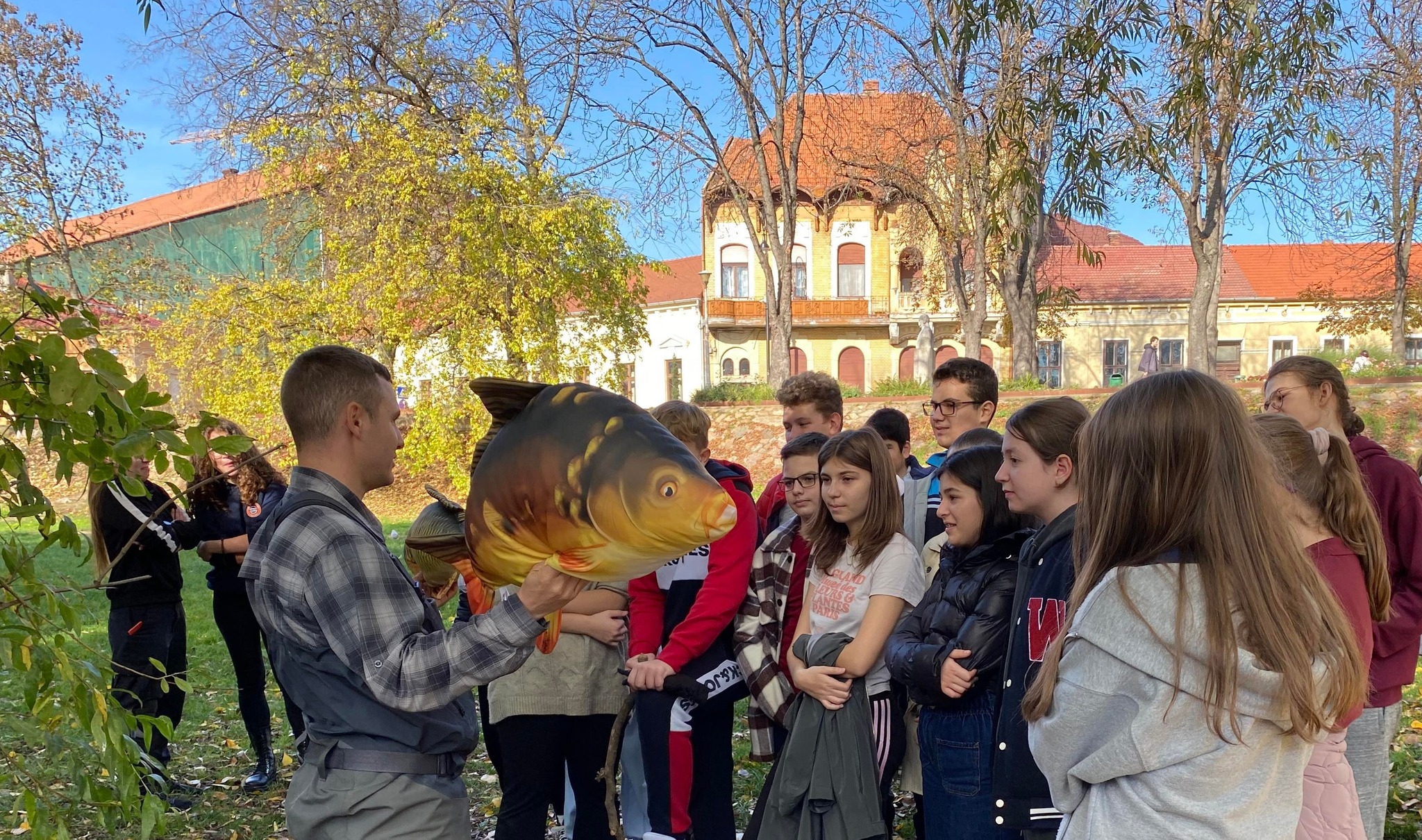 ateliere despre pești 4