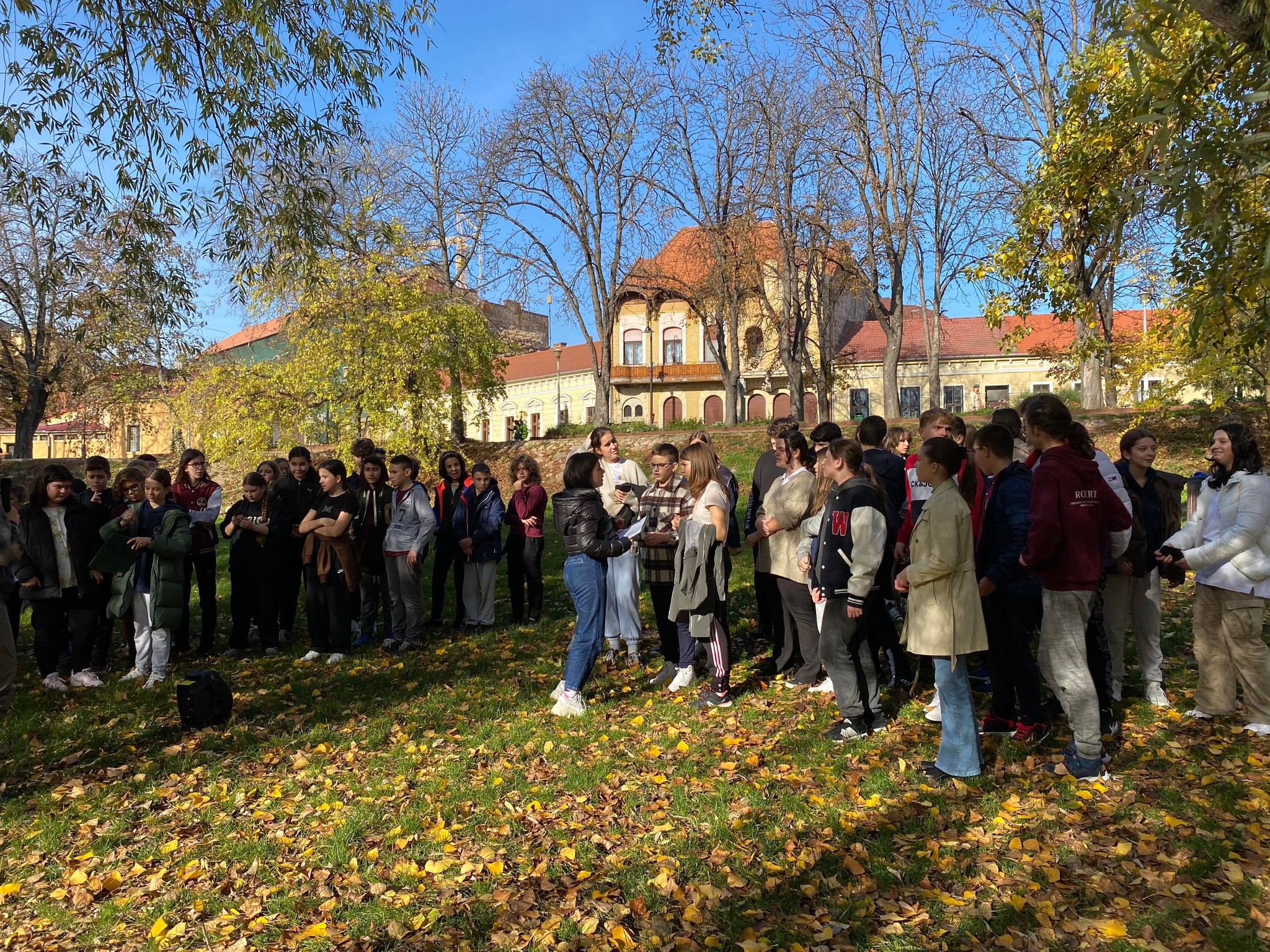 ateliere despre pești 8