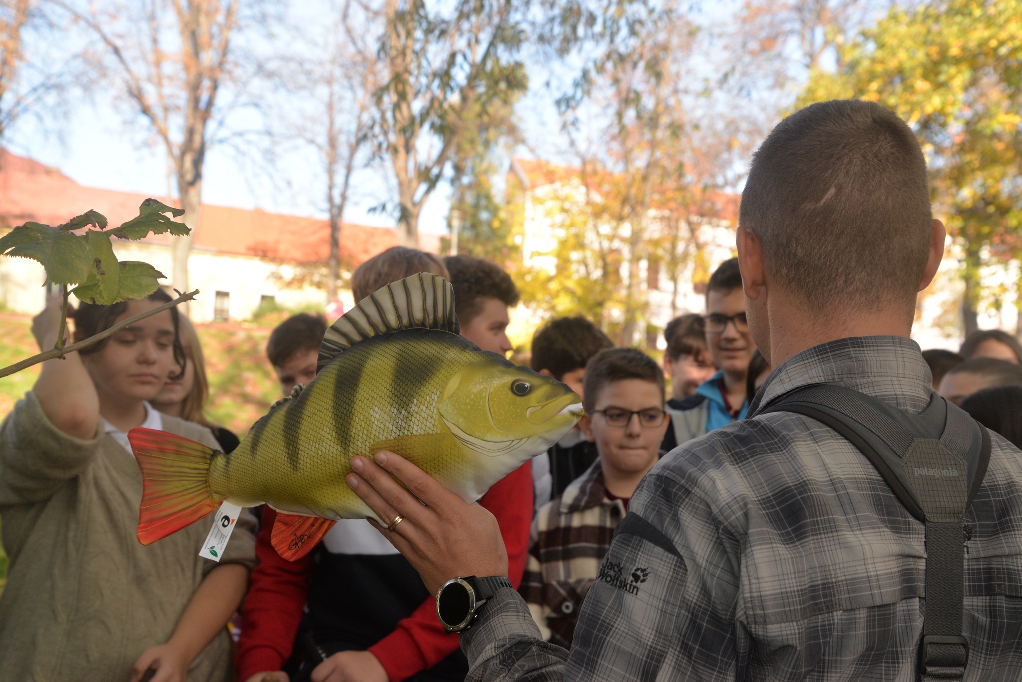 ateliere despre pești 19