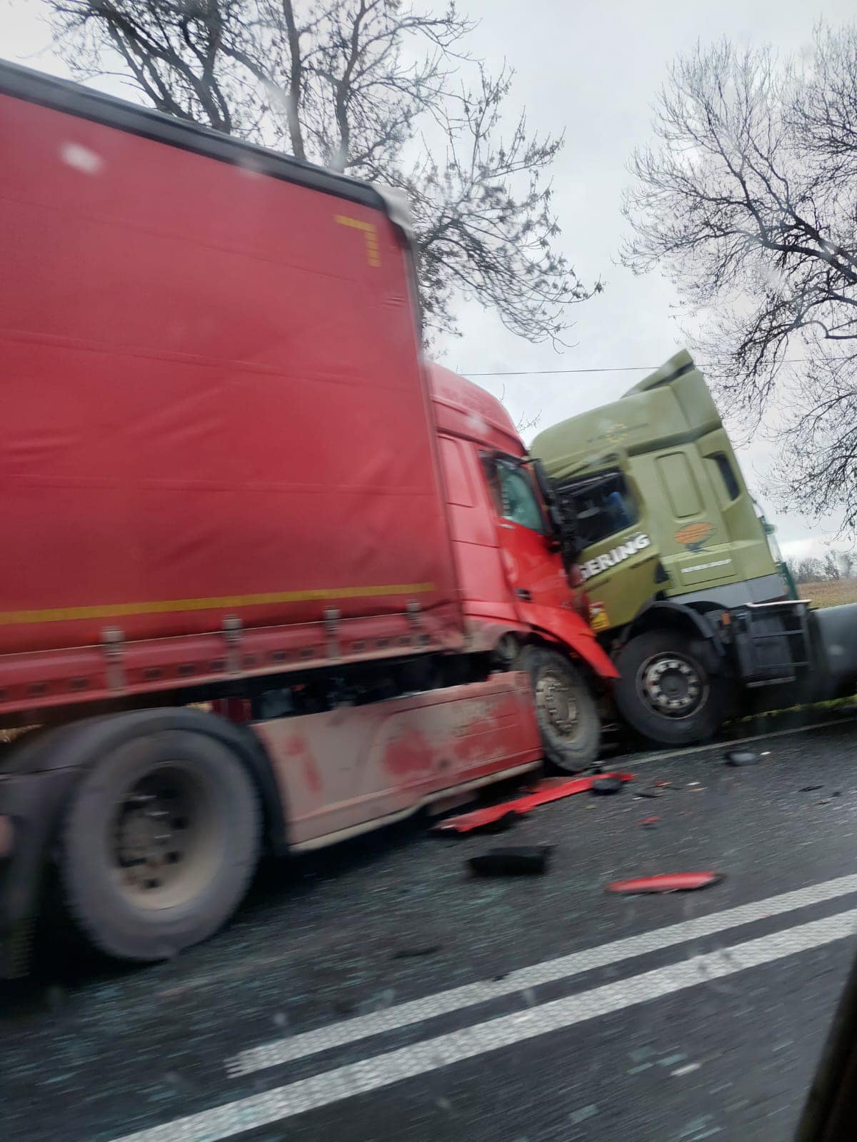 accident topa de criș 4