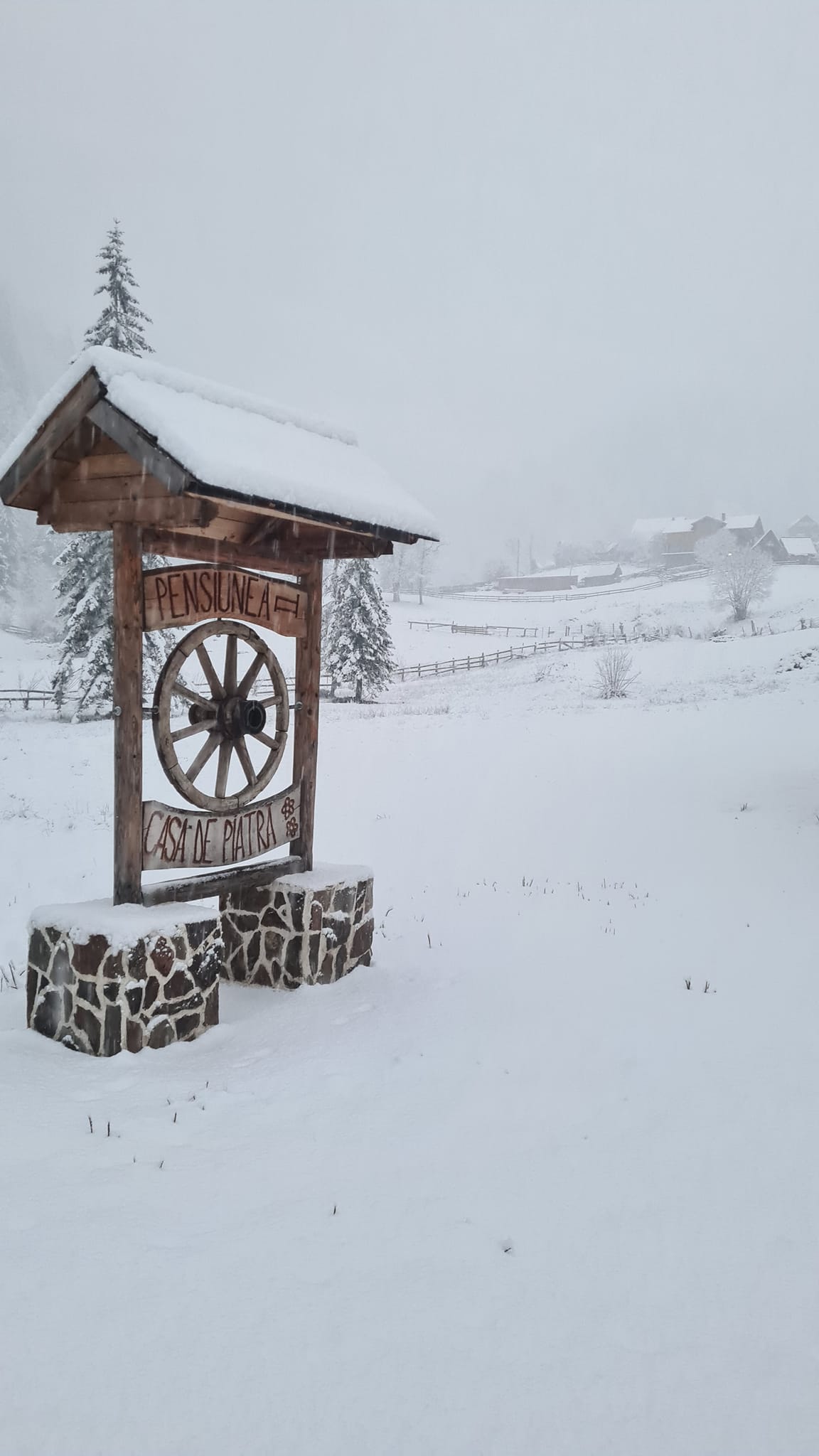 FOTO: Zăpadă la Arieșeni, 17.01.2023