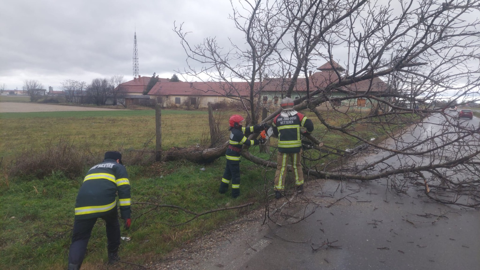 FOTO: Vânturile puternice în tot județul. Mai mulți copaci au căzut pe drumurile bihorene, 18.01.2023