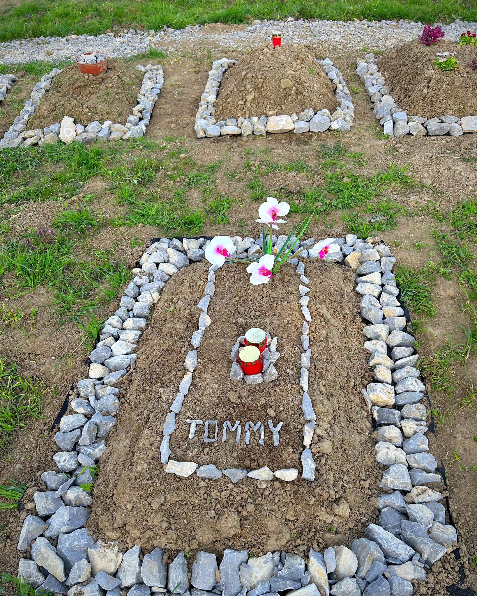 FOTO: Primul cimitir de animale de companie din Bihor 25.04.2023