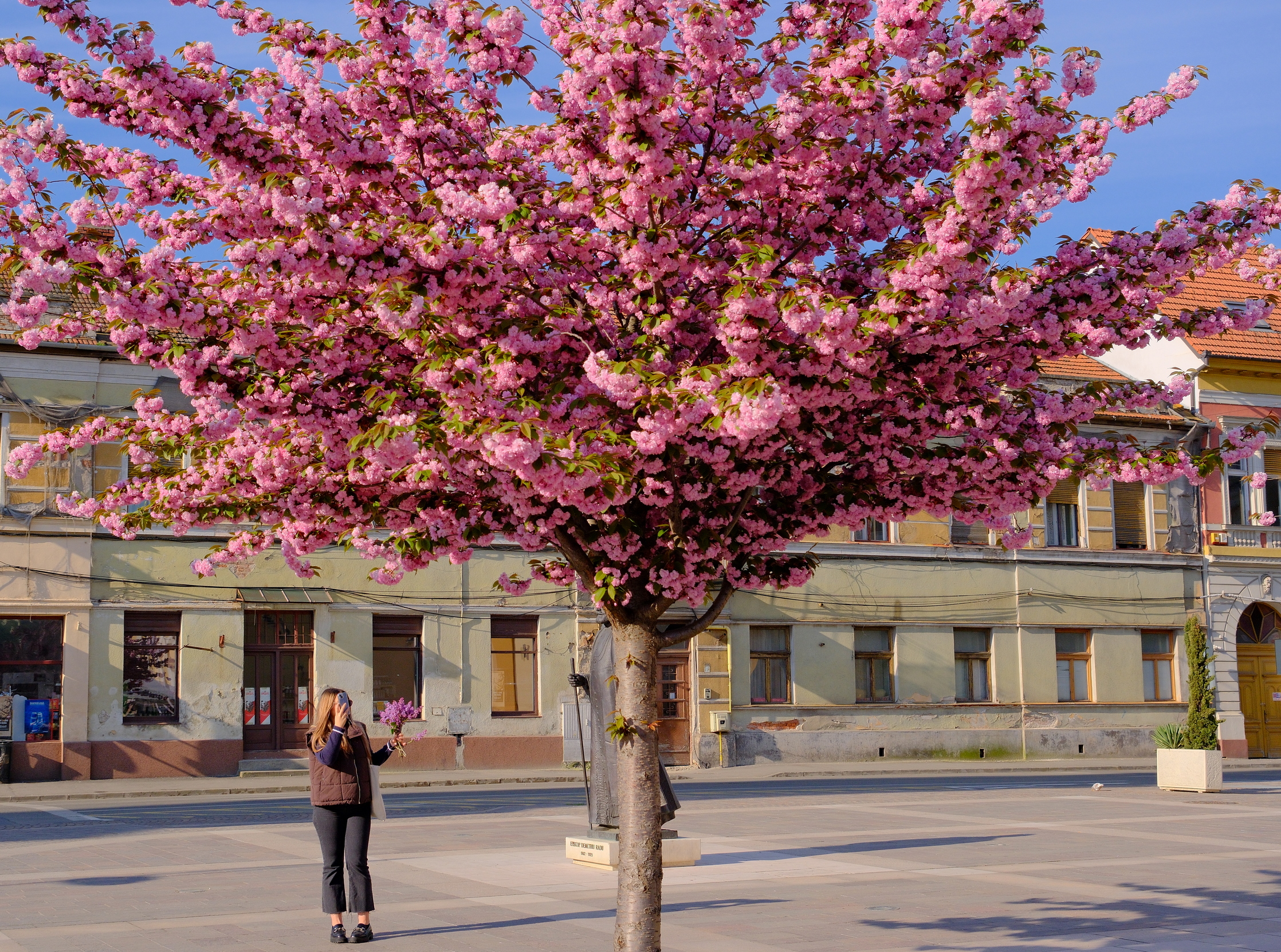 oradea (1)