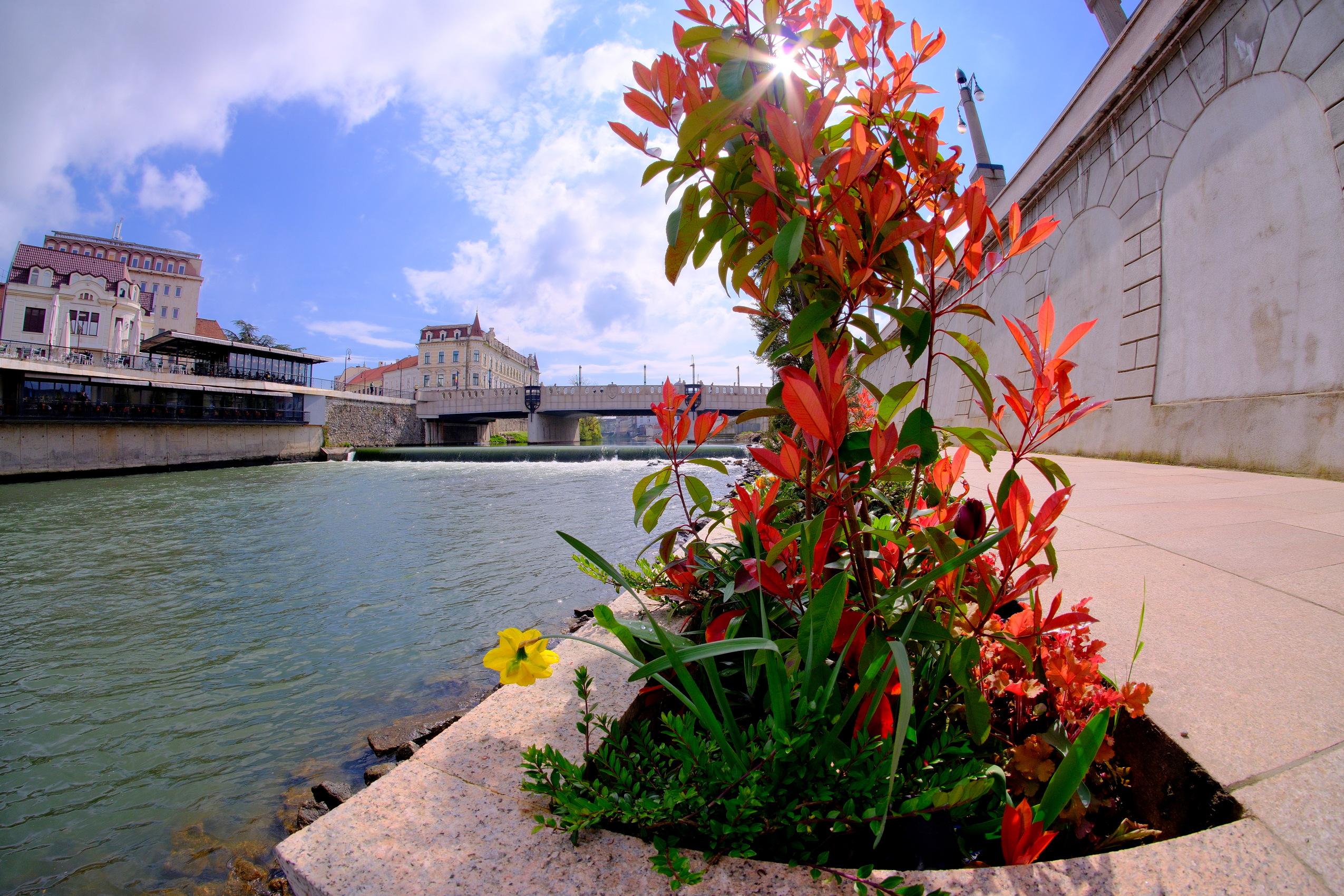 oradea (9)