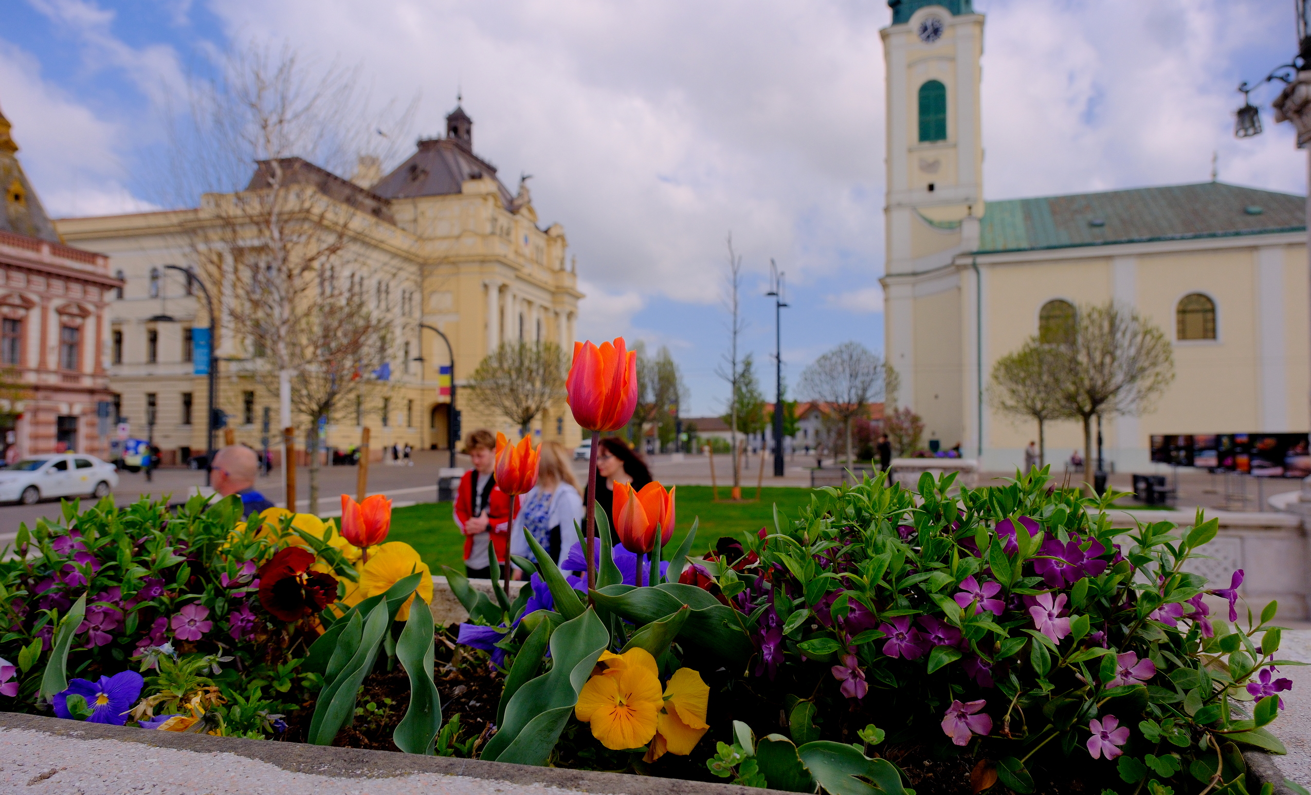 oradea (11)