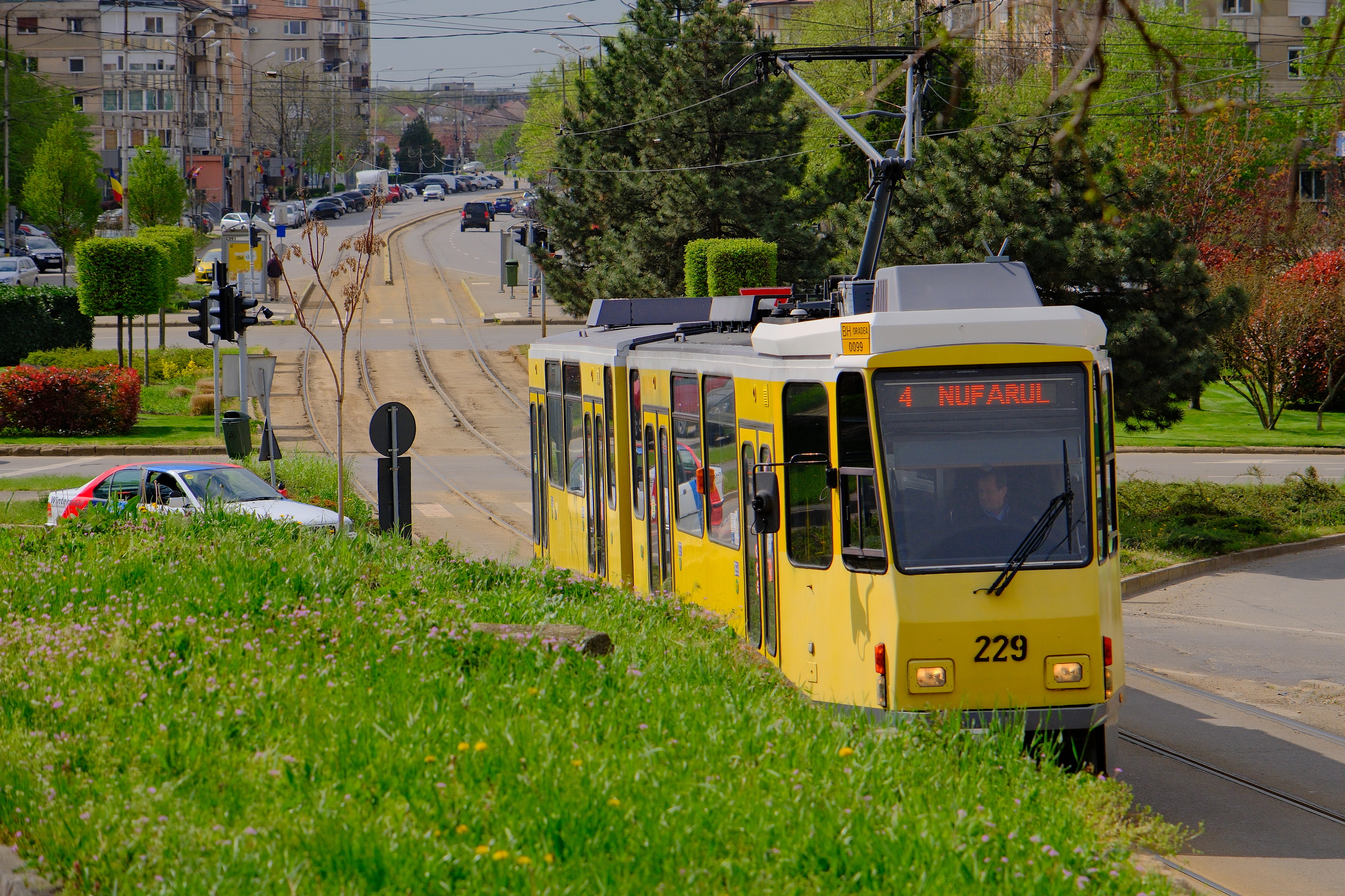 oradea (16)