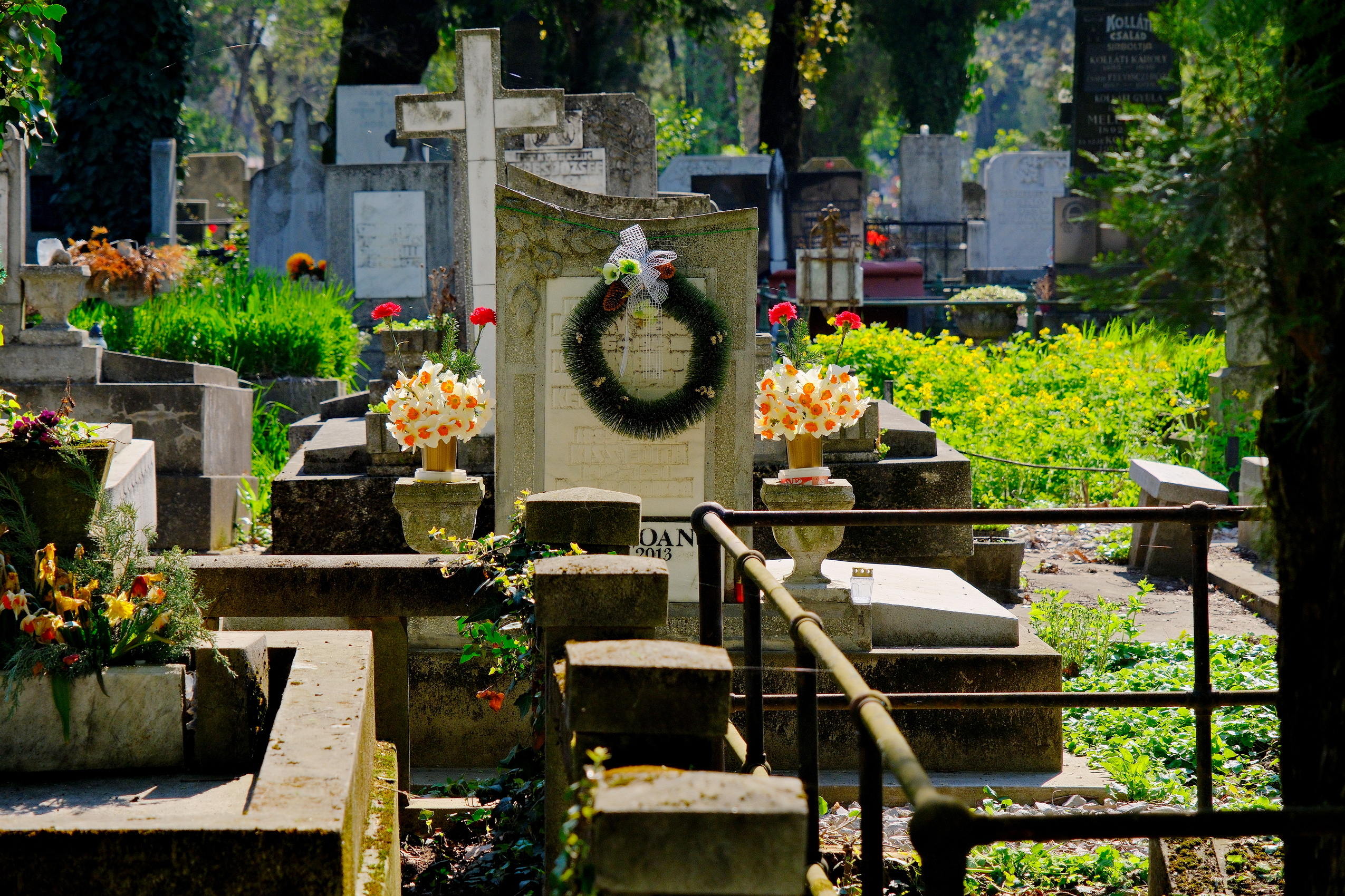 FOTO: Cimitirul municipal Oradea 30.04.2023