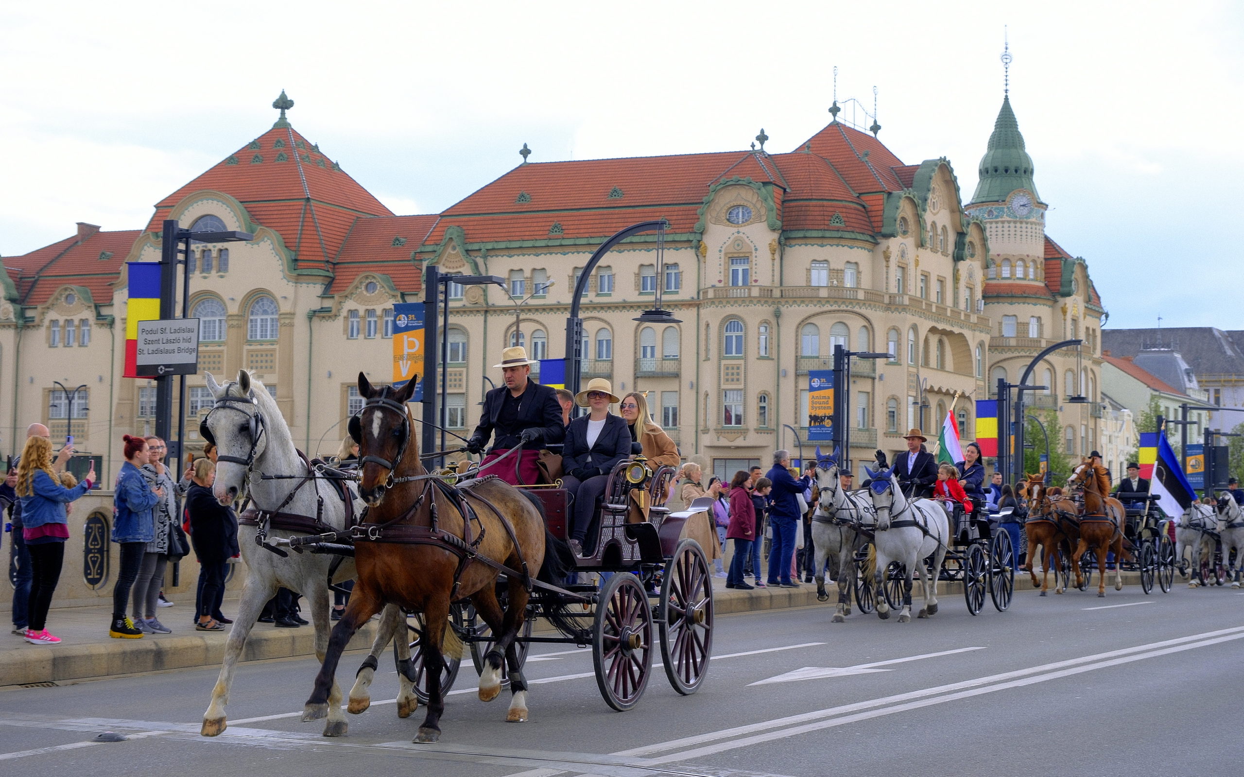 FOTO: Spectaculos alai de atelaje cu cai, în centrul istoric Oradea, 13.05.2023