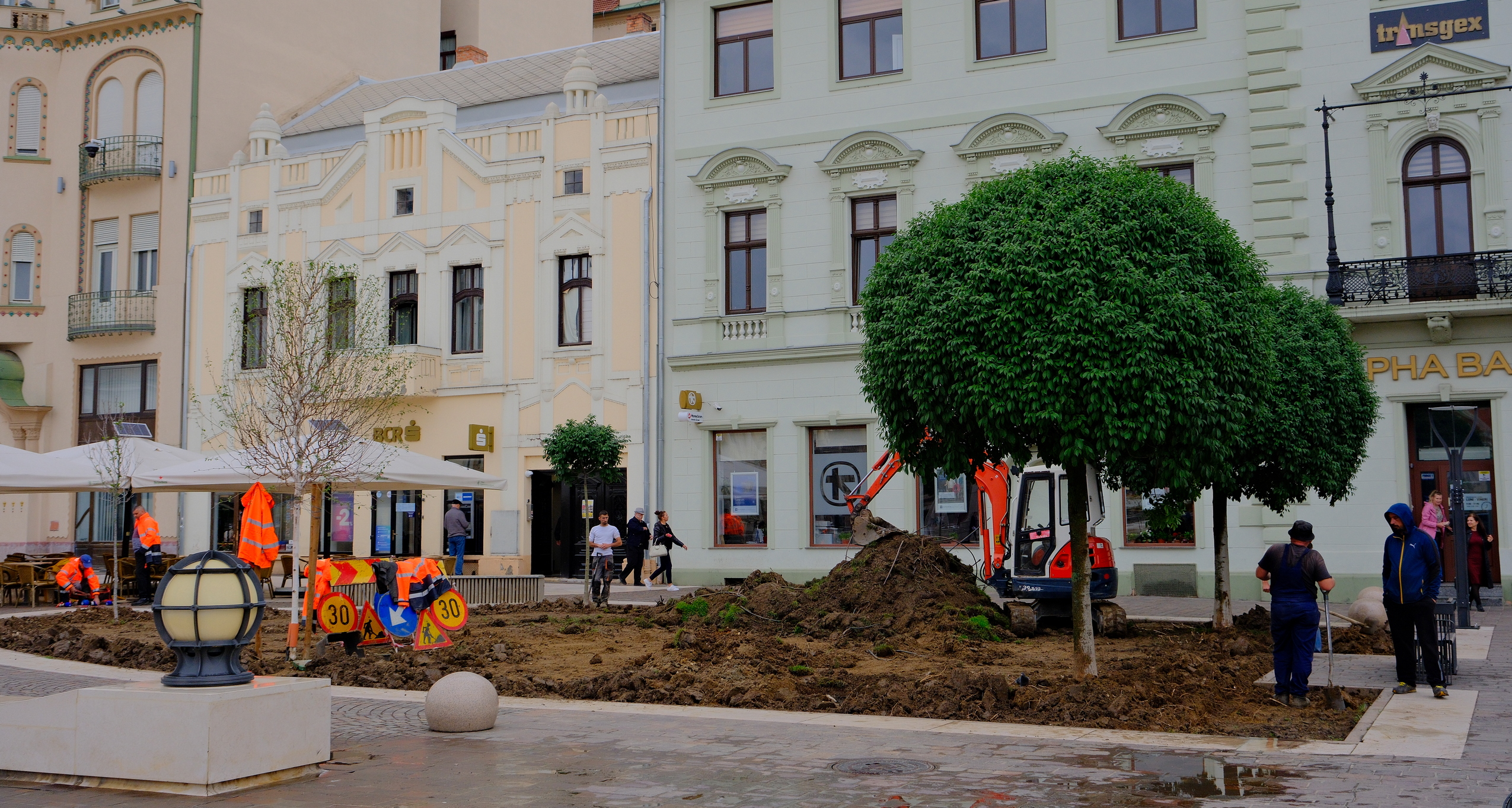 FOTO: Primăria Oradea pune gazon nou în Piața Unirii 18.05.2023