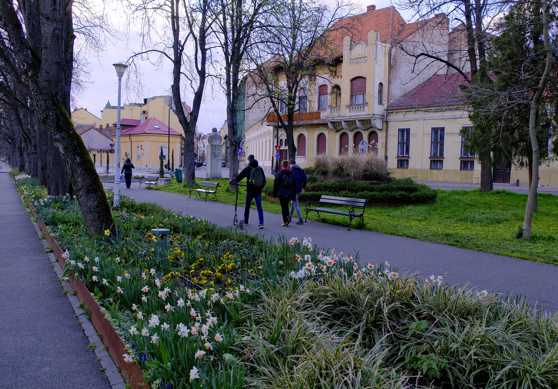 malul crisului flori (22)